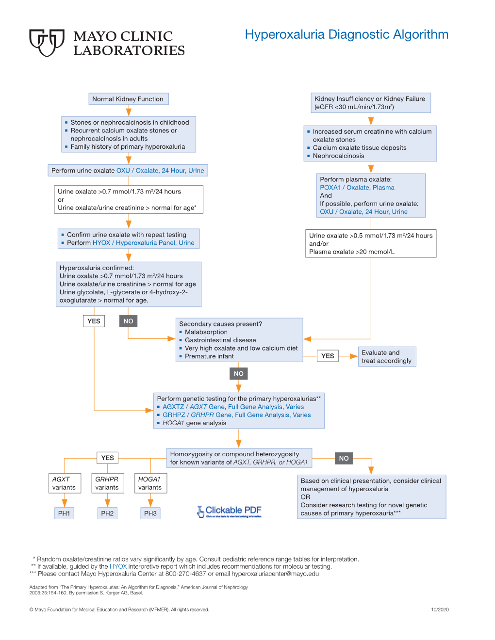 Hyperoxaluria Diagnostic Algorithm