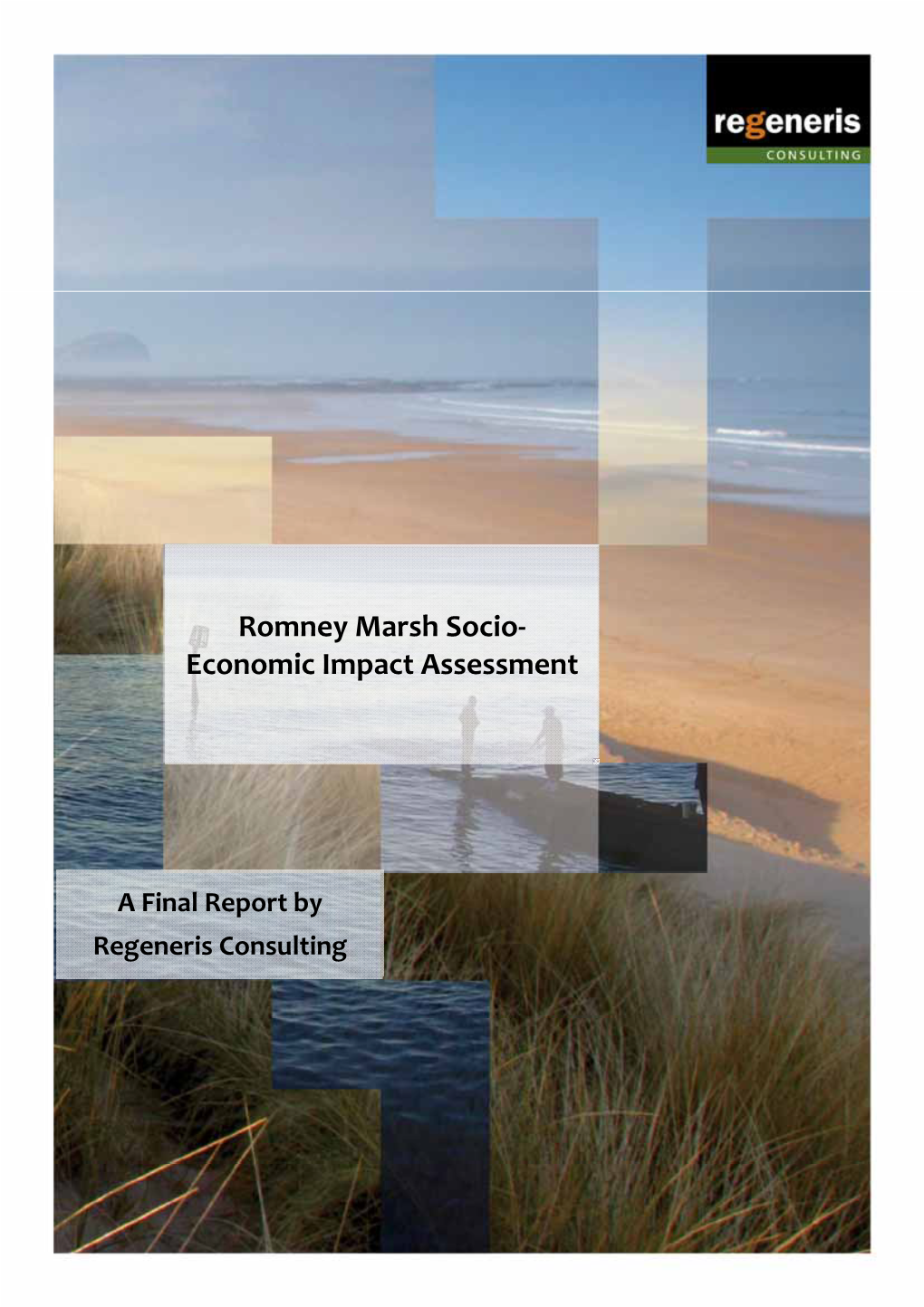 Romney Marsh Socio- Economic Impact Assessment