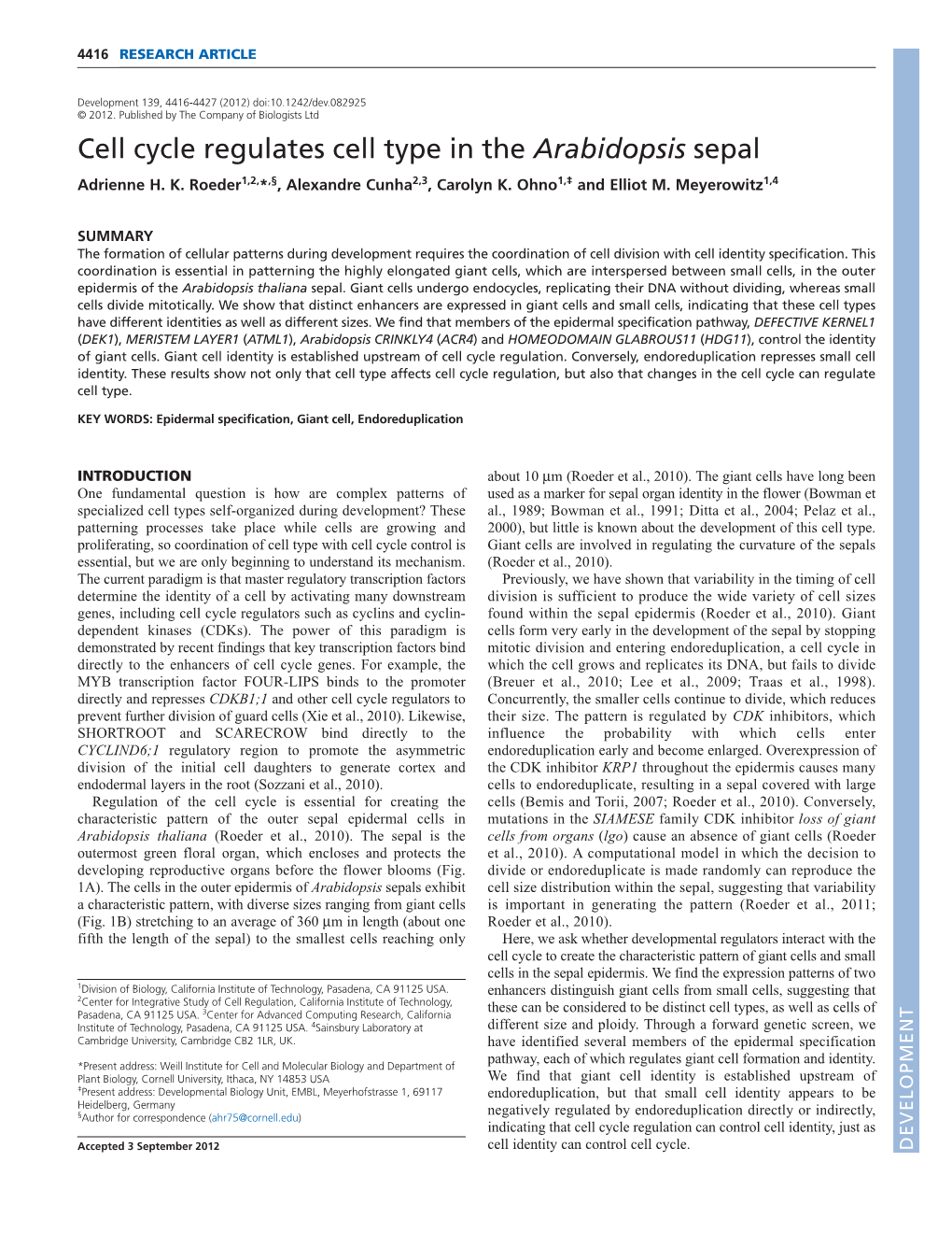 Cell Cycle Regulates Cell Type in the Arabidopsis Sepal Adrienne H