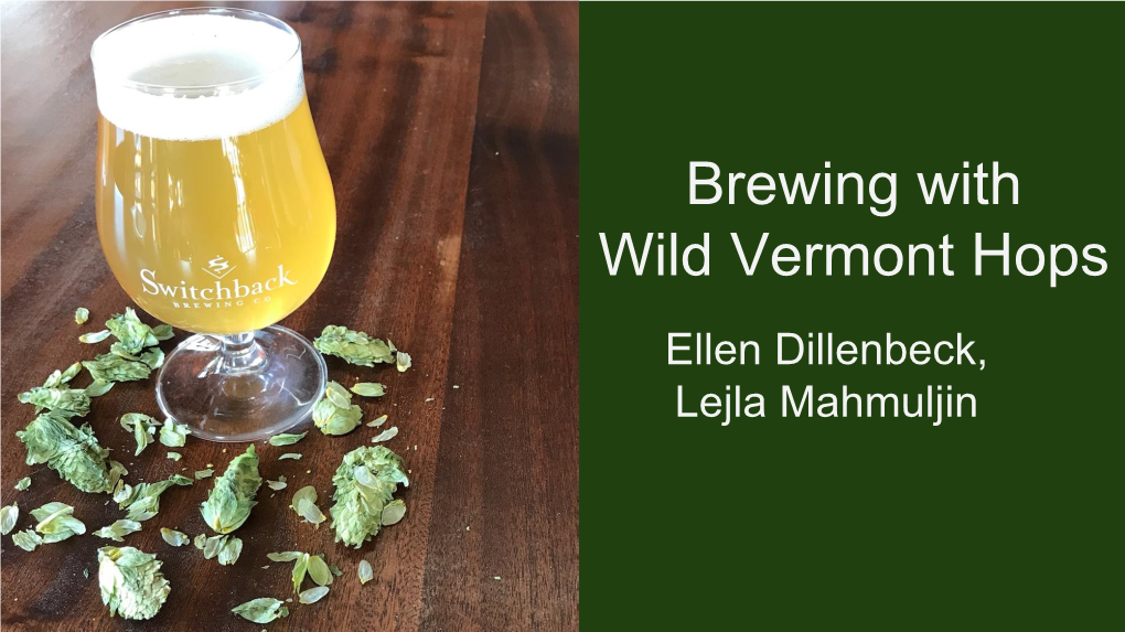 Brewing with Wild Vermont Hops (PDF)