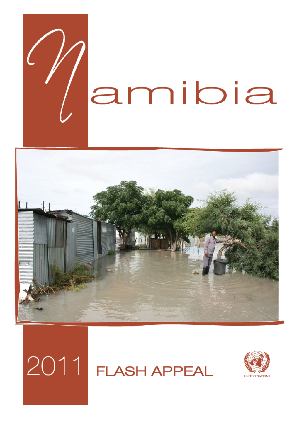 Flash 2011 Namibia Screen.Pdf (Английский (English))