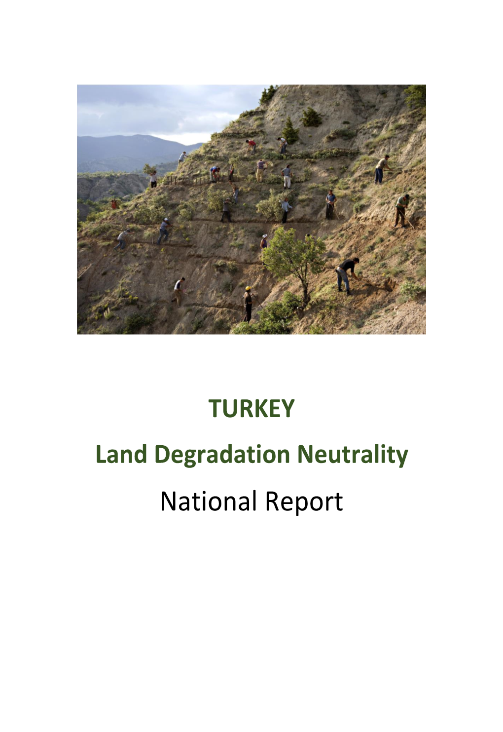 TURKEY Land Degradation Neutrality National Report