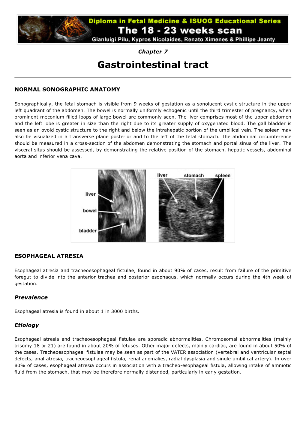 8. Gastrointestinal Tract