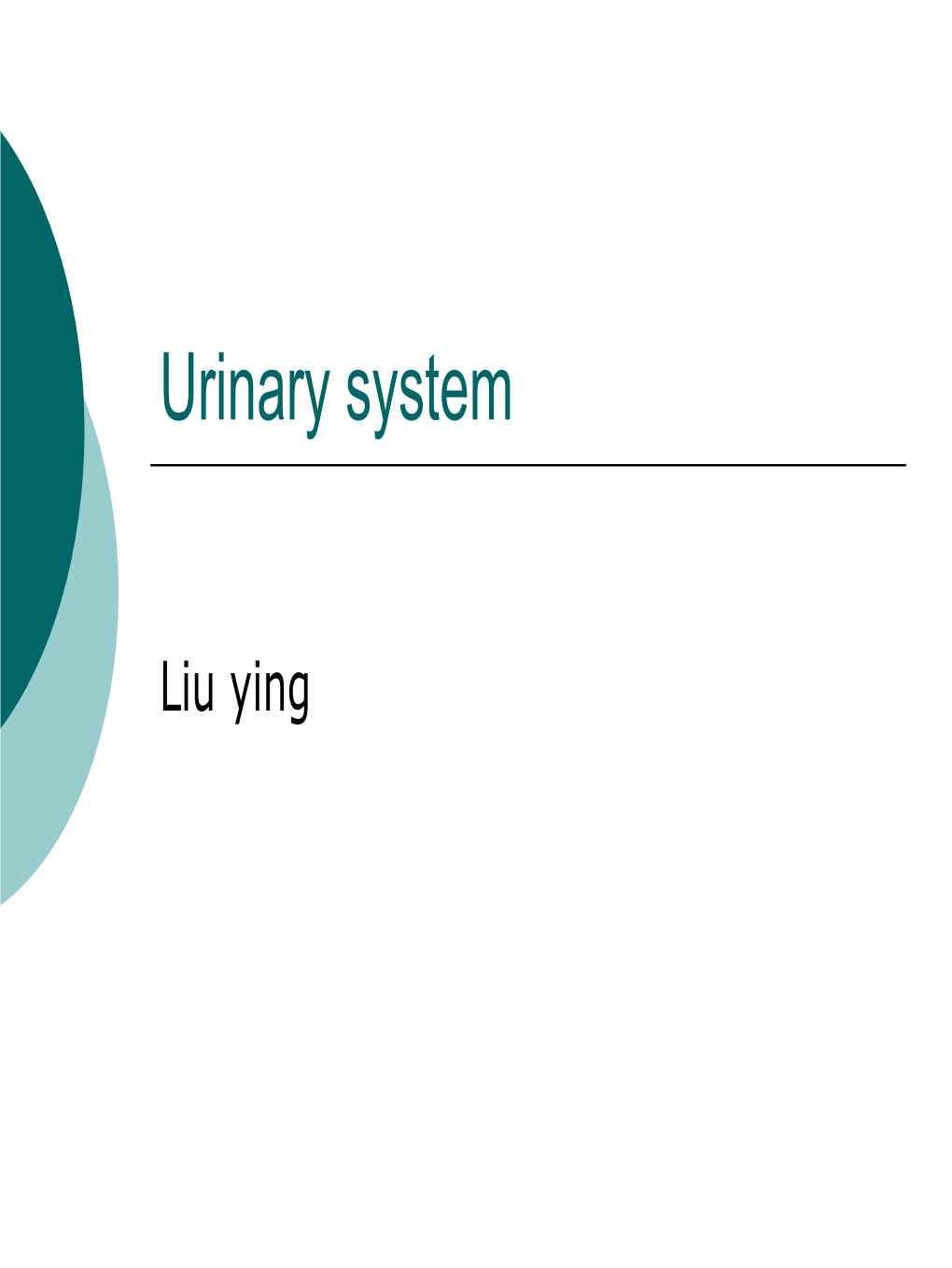 Urinary System