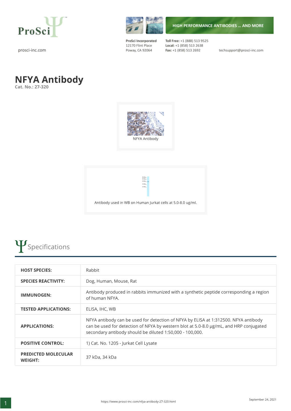 NFYA Antibody Cat