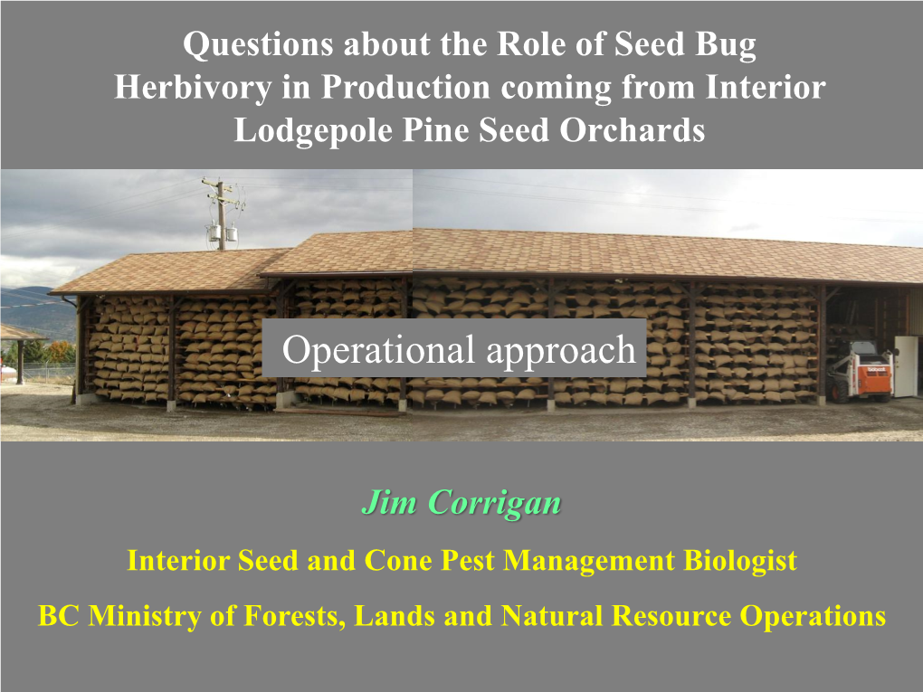 Questions About the Role of Seed Bug Herbivory in Production Coming from Interior Lodgepole Pine Seed Orchards