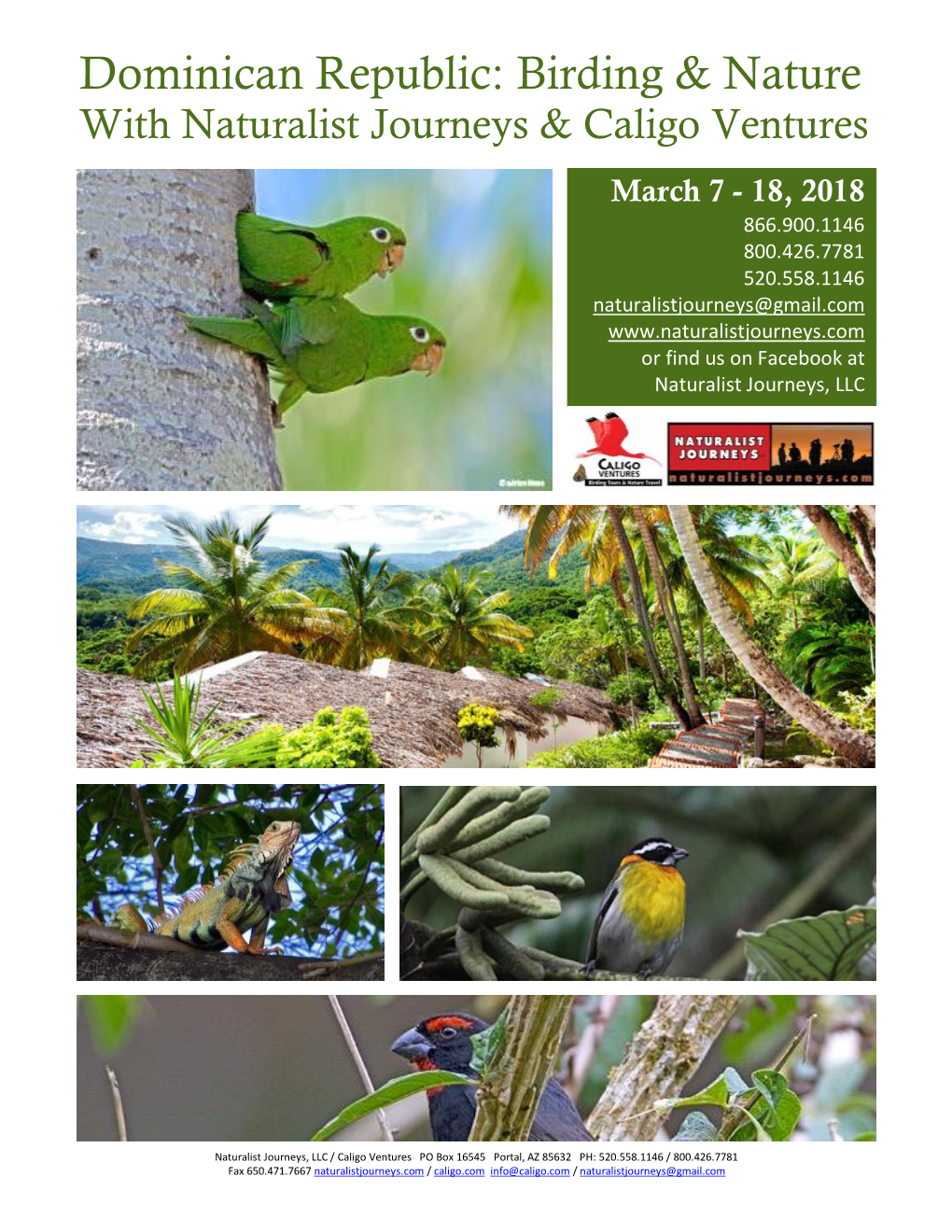 Dominican Republic: Birding & Nature with Naturalist Journeys & Caligo Ventures