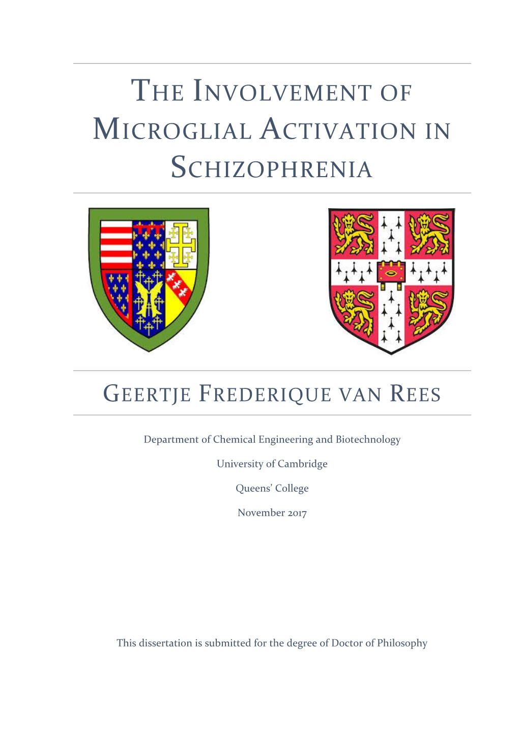 The Involvement of Microglial Activation in Schizophrenia