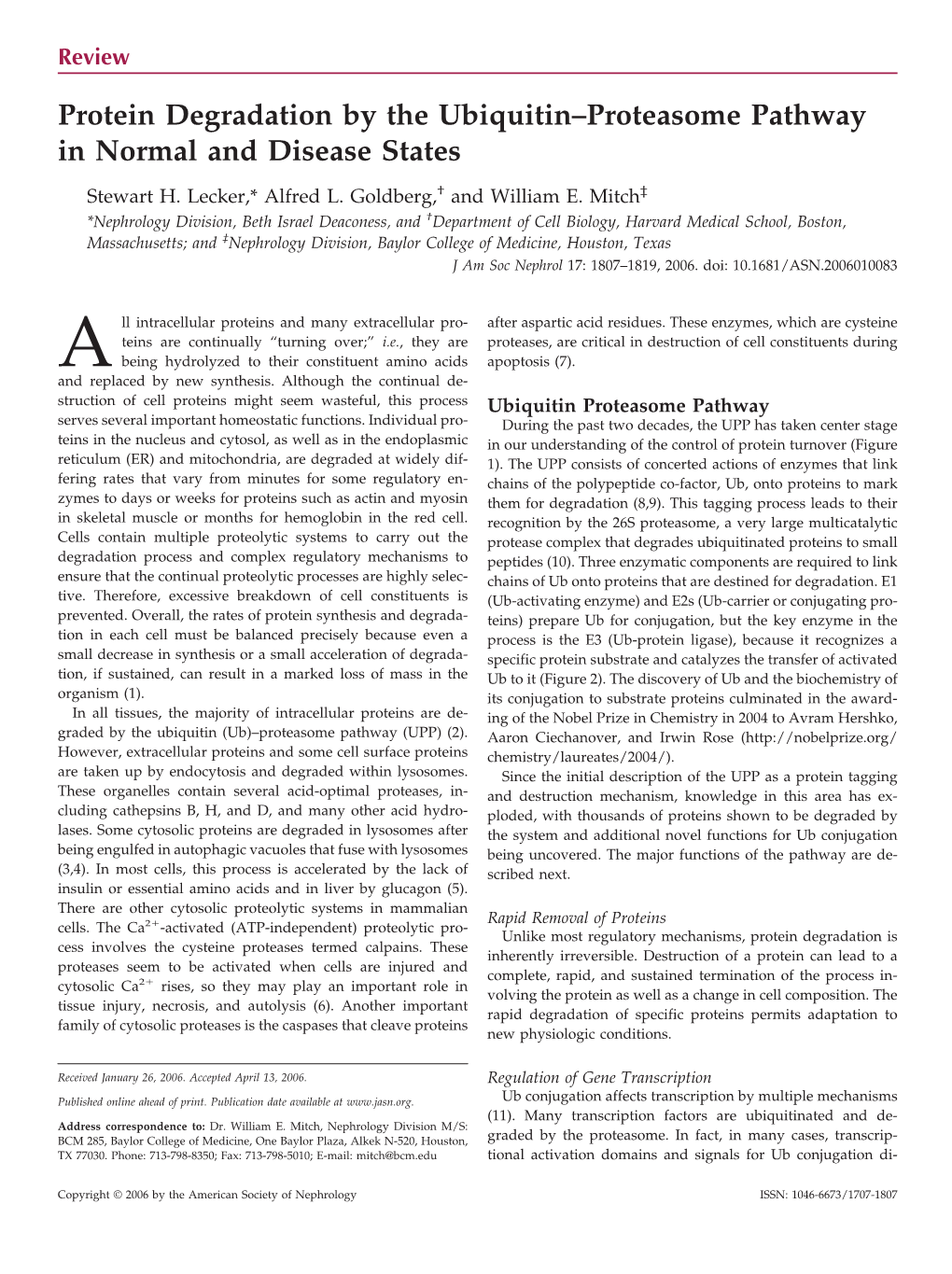 Protein Degradation by the Ubiquitin–Proteasome Pathway in Normal and Disease States