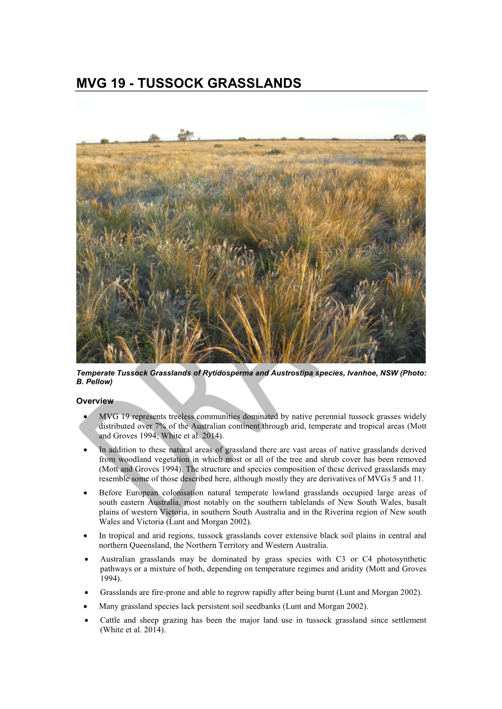 MVG 19 Tussock Grasslands DRAFT