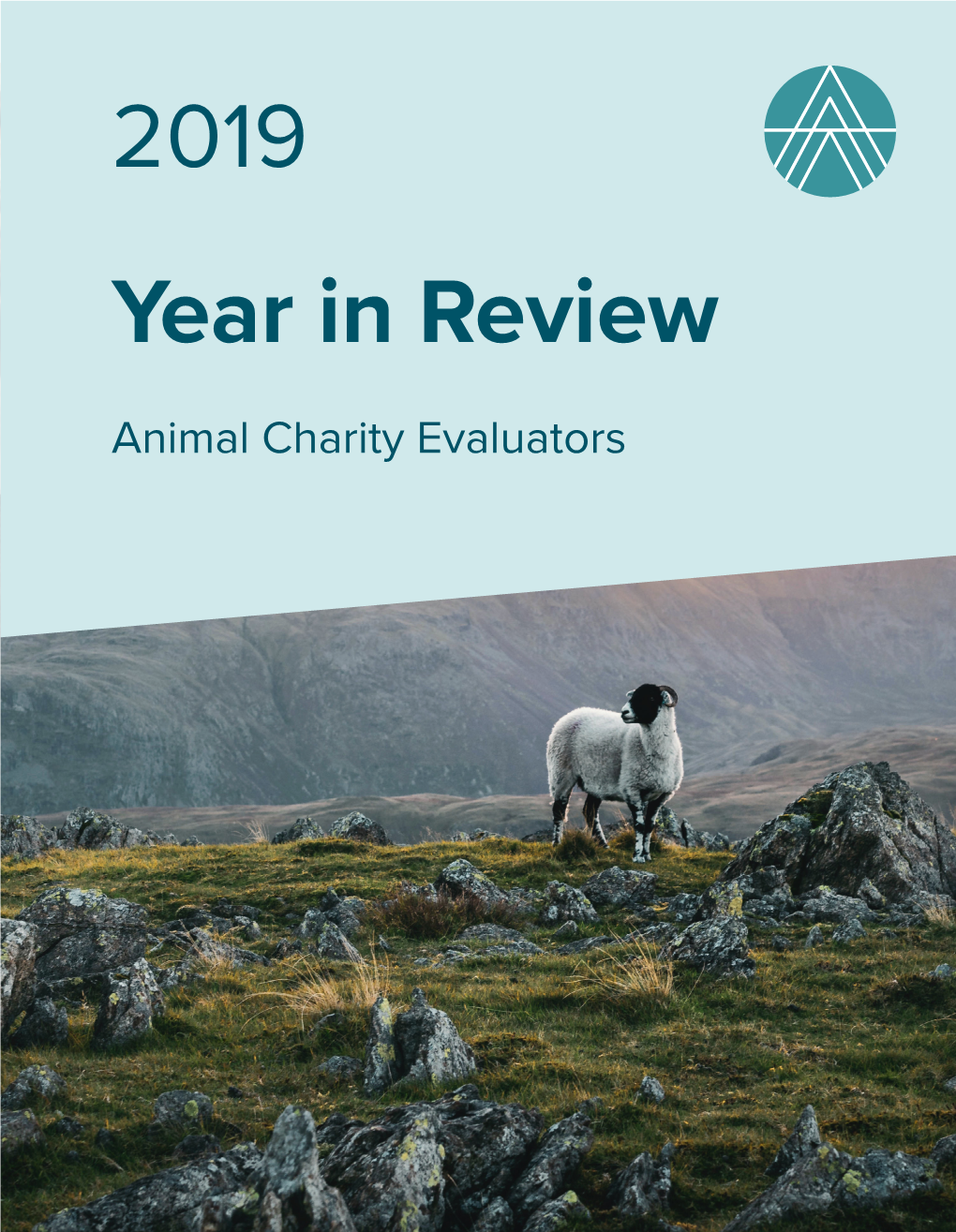 2019 Year in Review Animal Charity Evaluators Helping People Help Animals