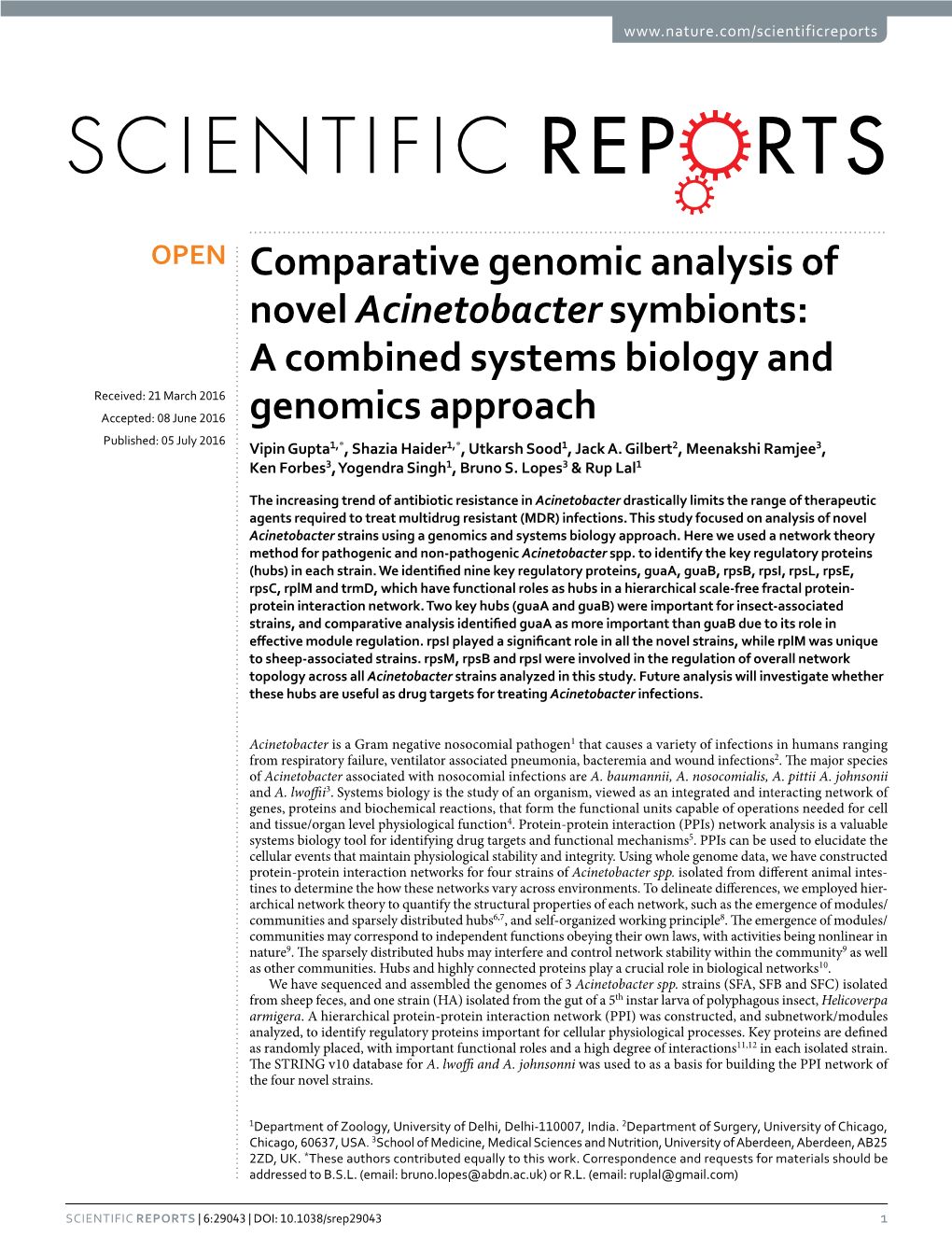 Comparative Genomic Analysis of Novel Acinetobacter Symbionts