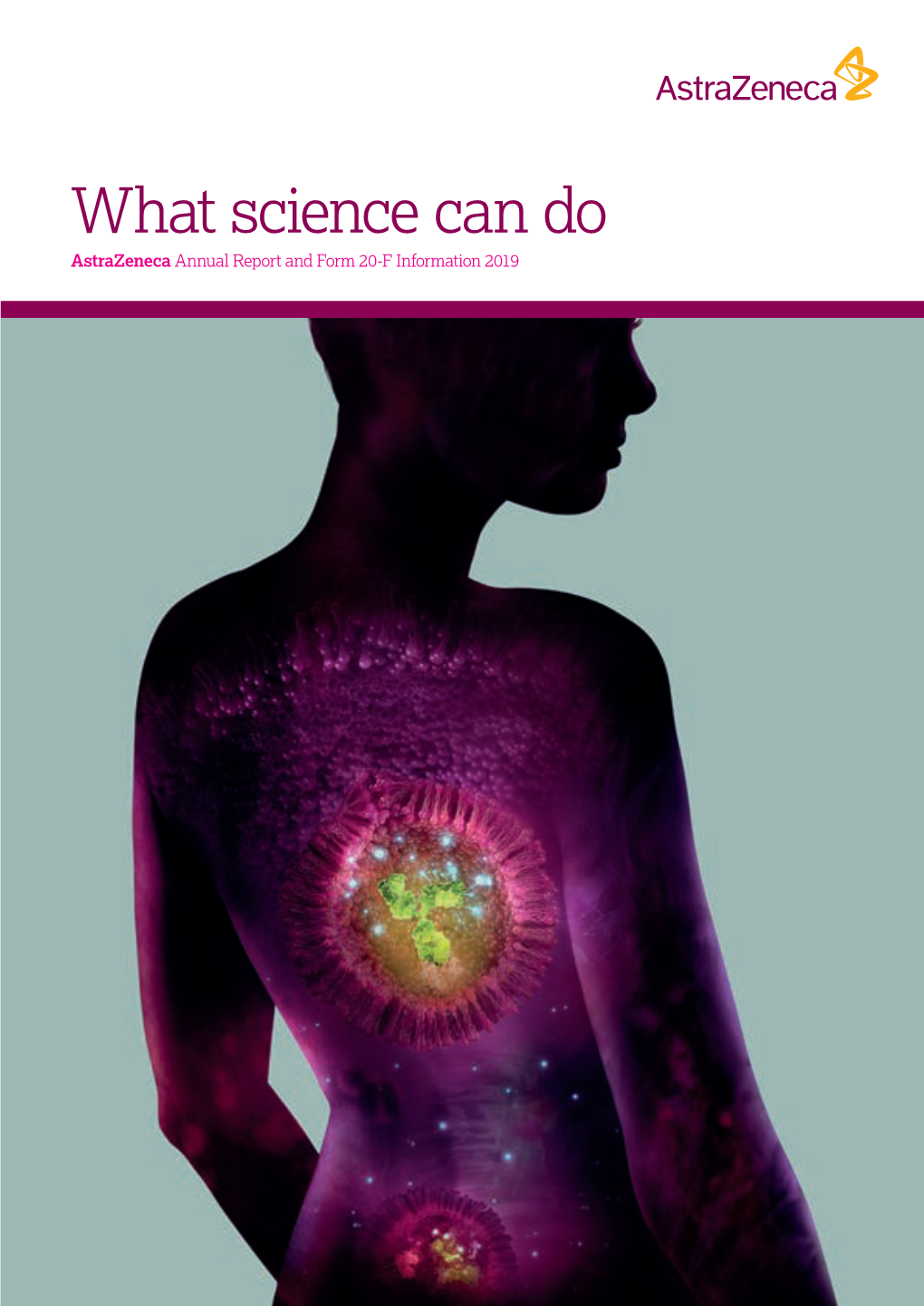 What Science Can Do Astrazeneca Annual Report and Form 20-F Information 2019 Corporate Governance