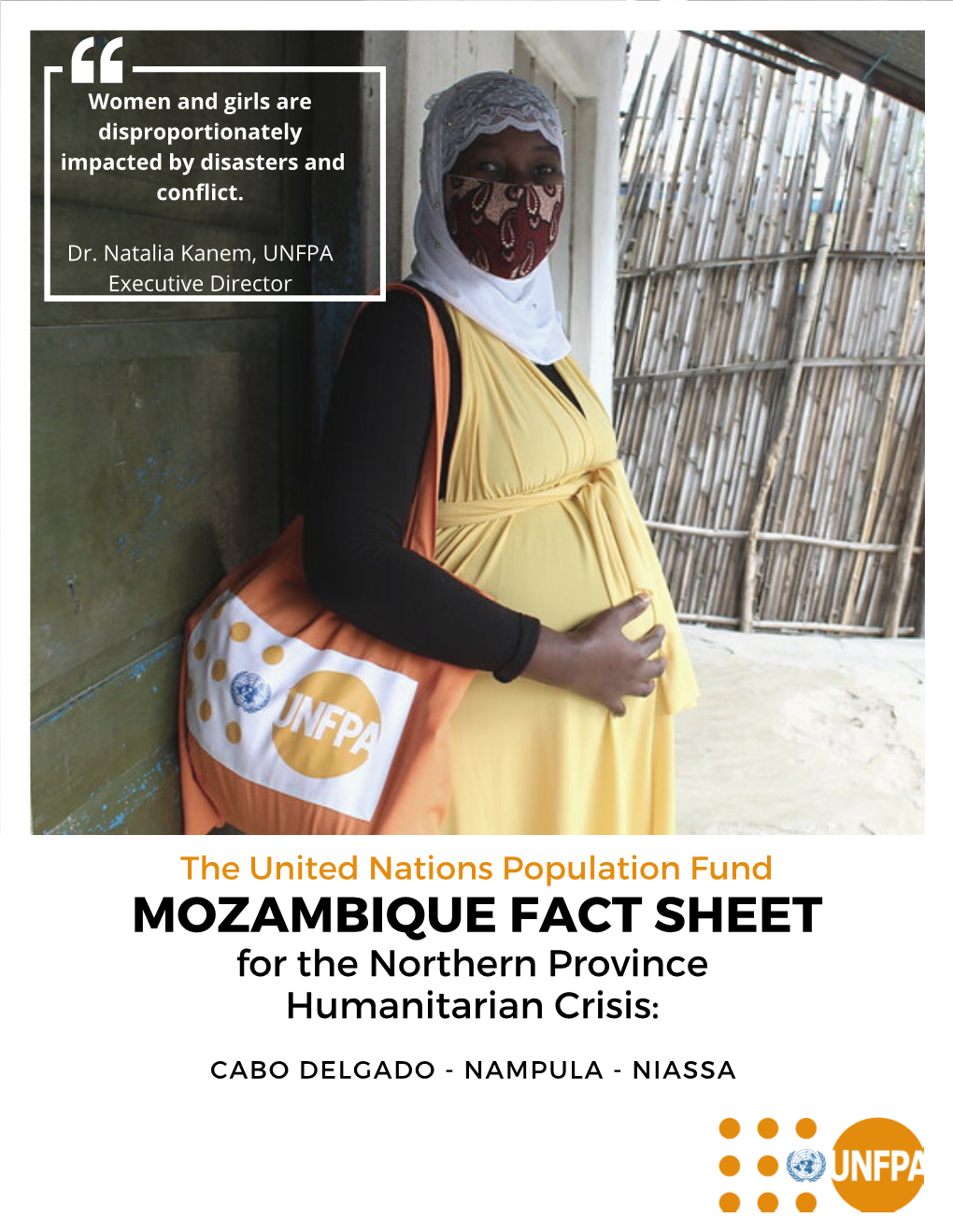 UNFPA Mozambique Fact Sheet