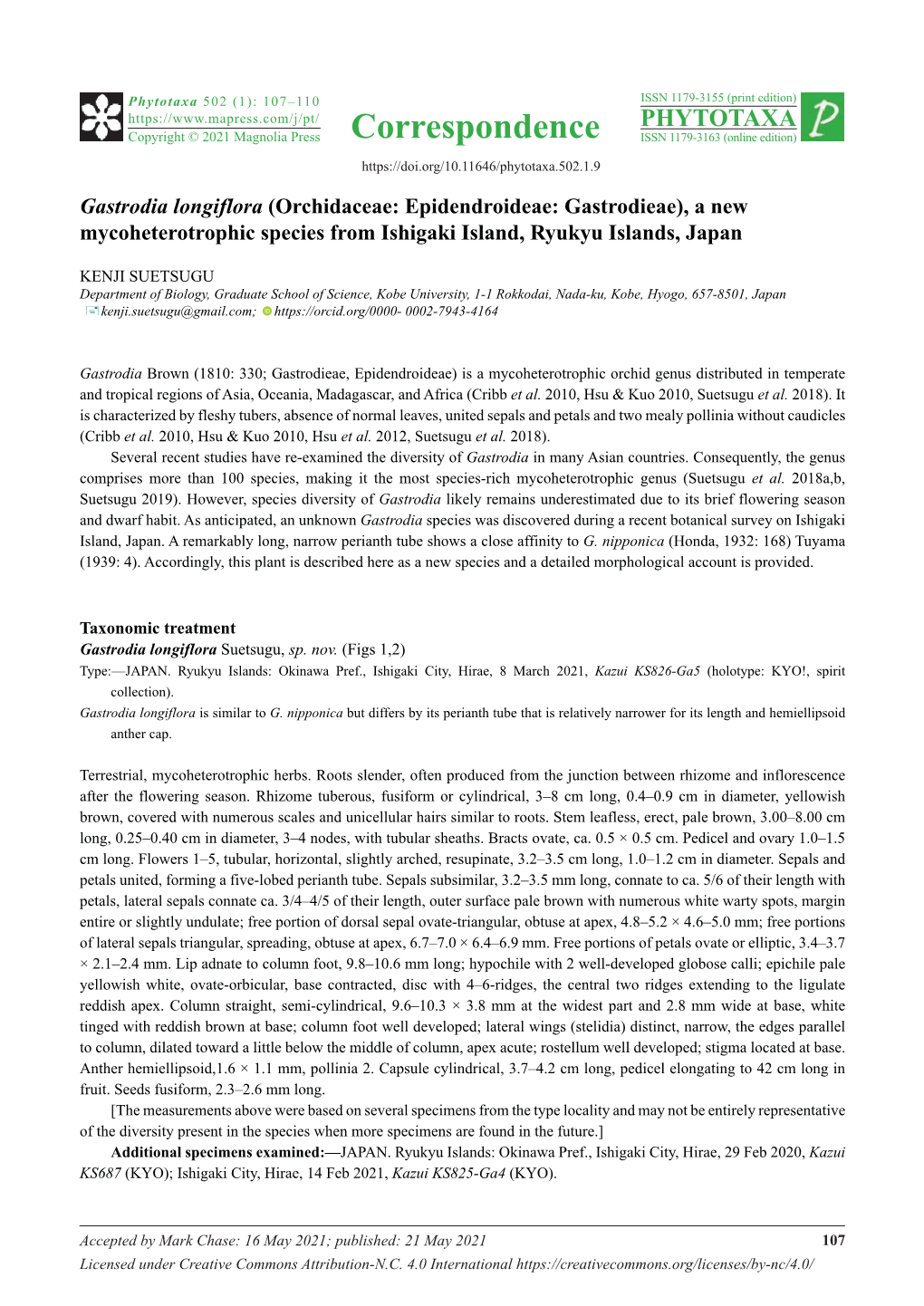 Gastrodia Longiflora (Orchidaceae: Epidendroideae: Gastrodieae), a New Mycoheterotrophic Species from Ishigaki Island, Ryukyu Islands, Japan