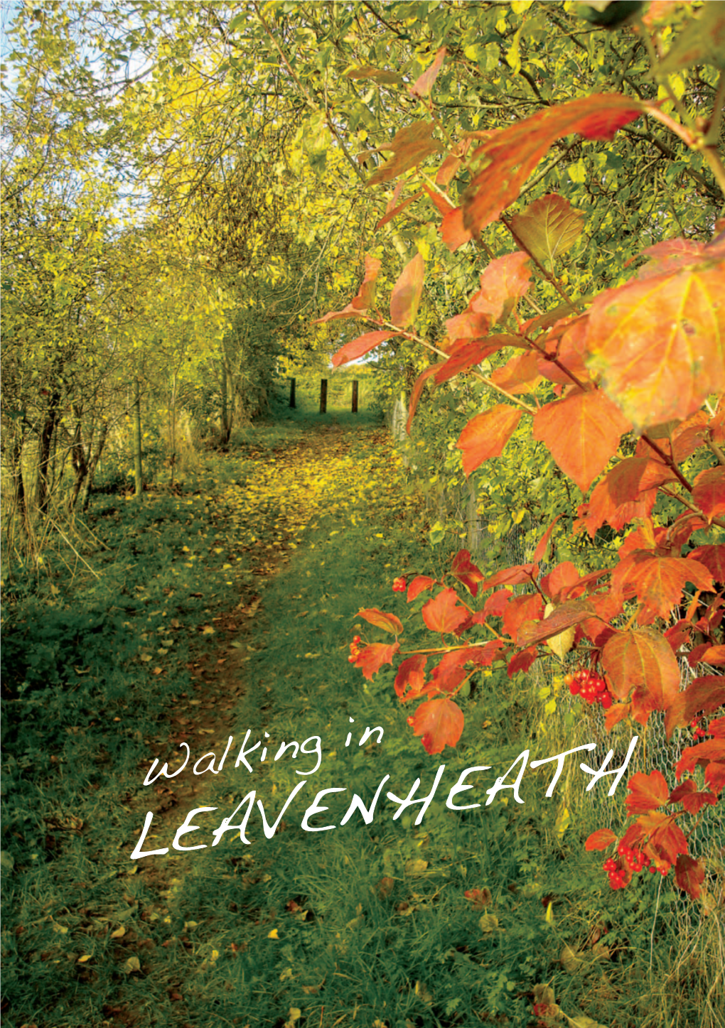 Walking in Leavenheath Brochure