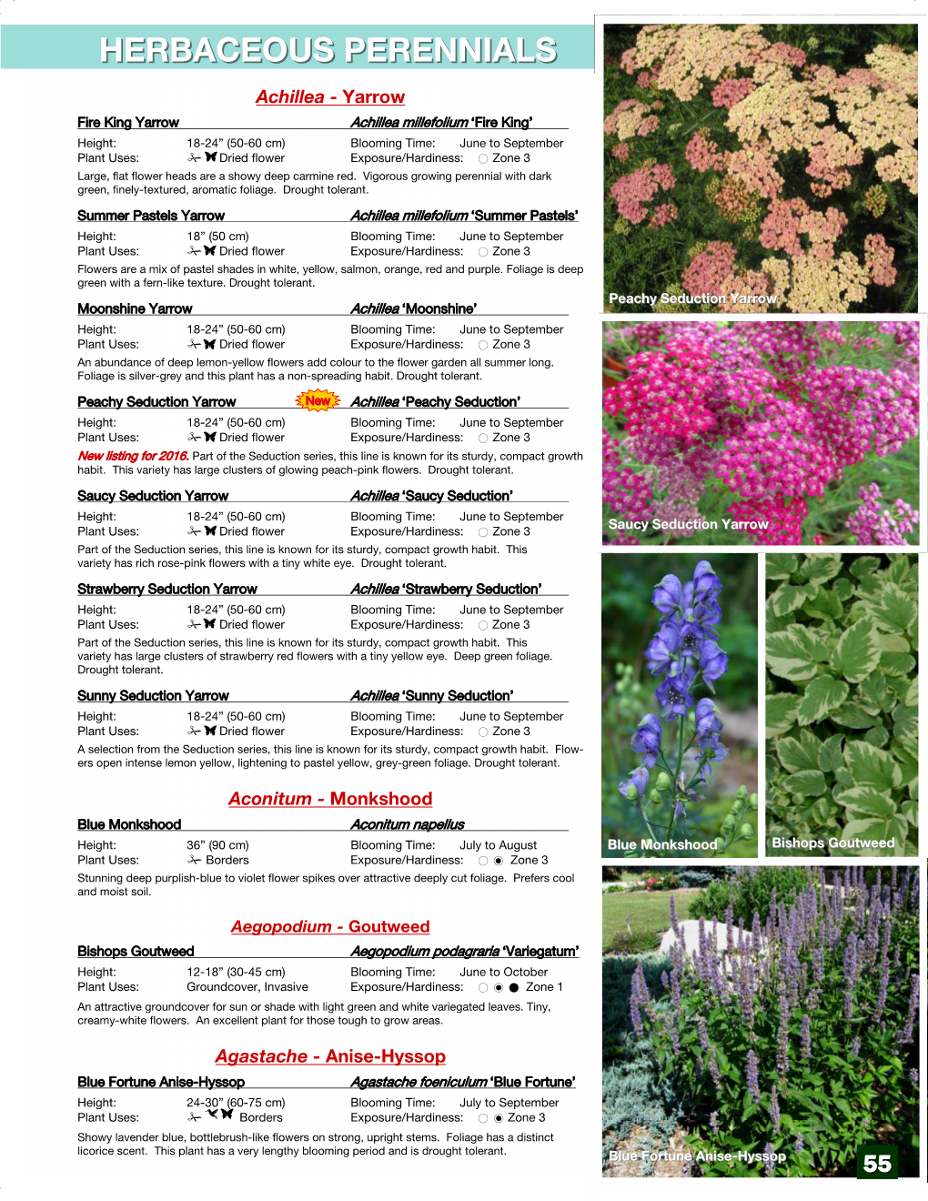 Herbaceous Perennialsperennials