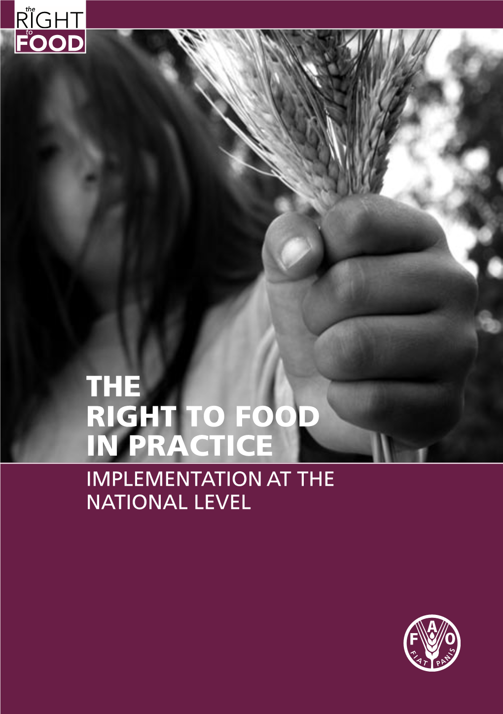 THE RIGHT to FOOD in PRACTICE IMPLEMENTATION at the NATIONAL LEVEL Make It Happen