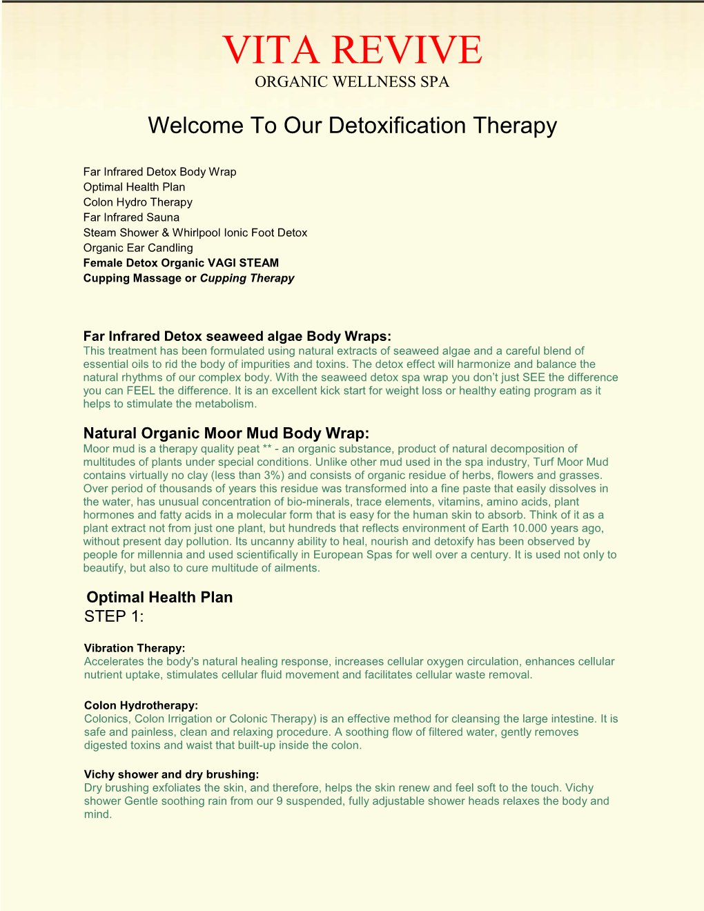 Our Detoxification Therapy