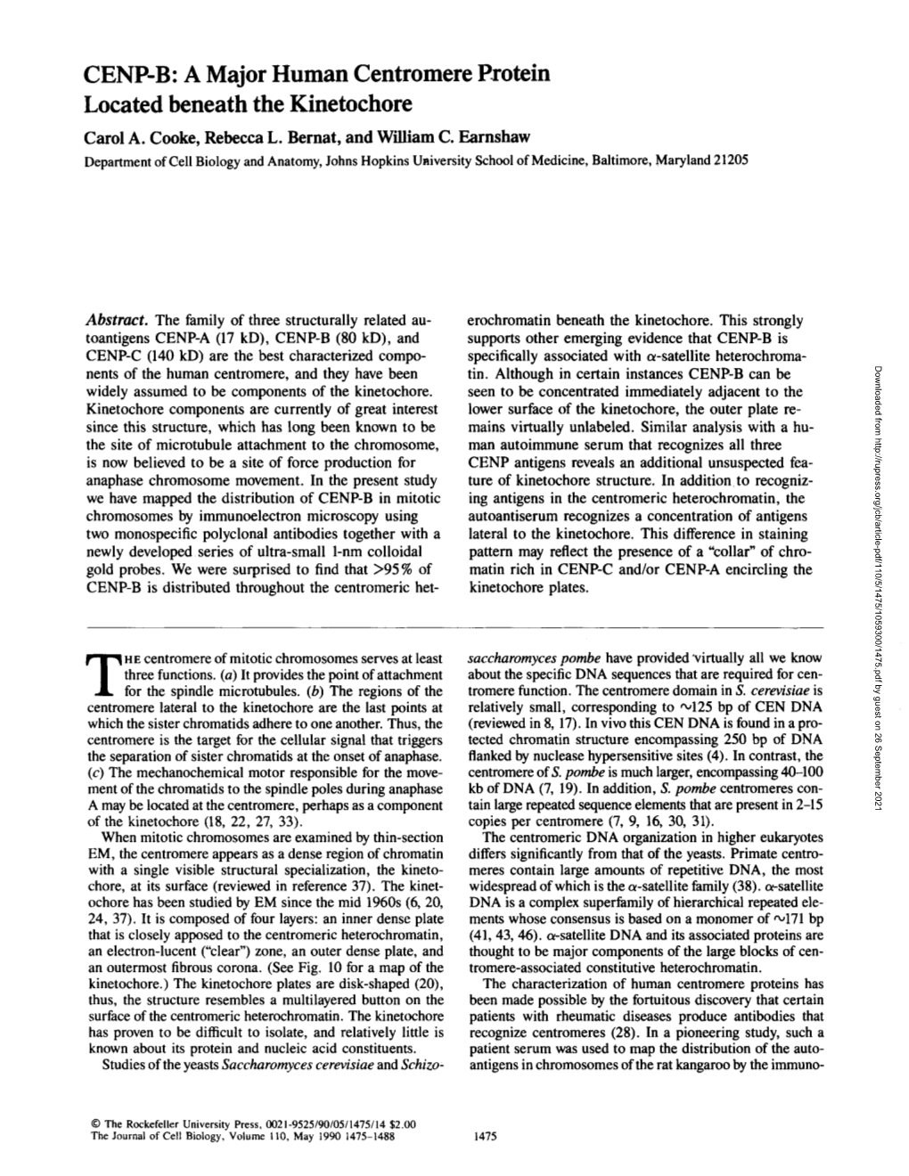 CENP-B: a Major Human Centromere Protein Located Beneath the Kinetochore Carol A