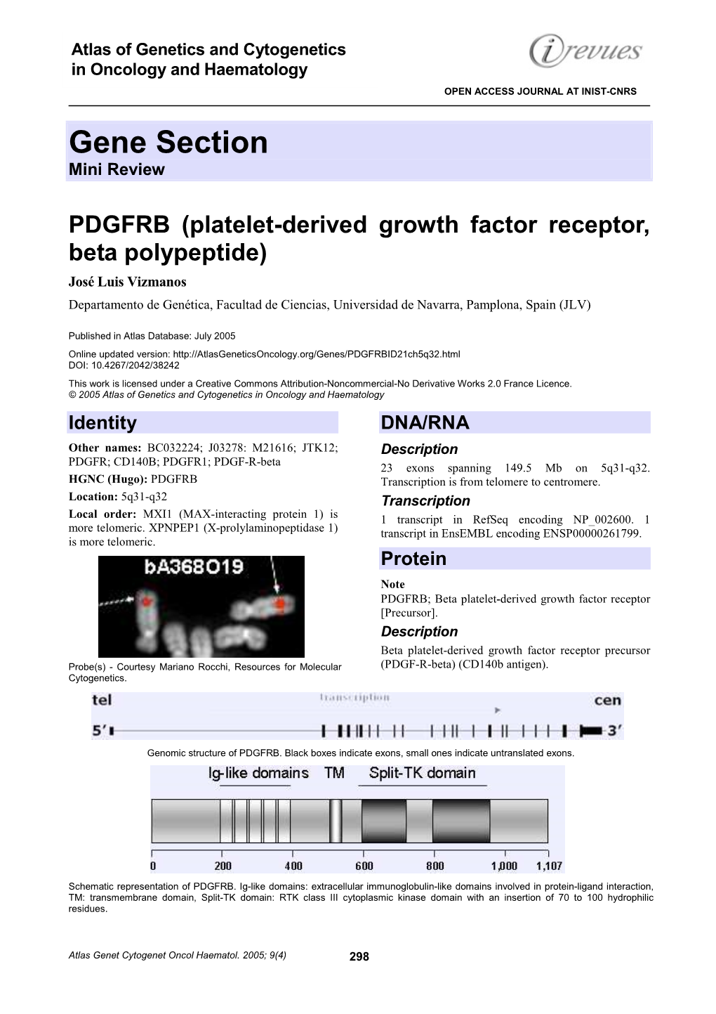 Platelet-Derived Growth Factor Receptor, Beta