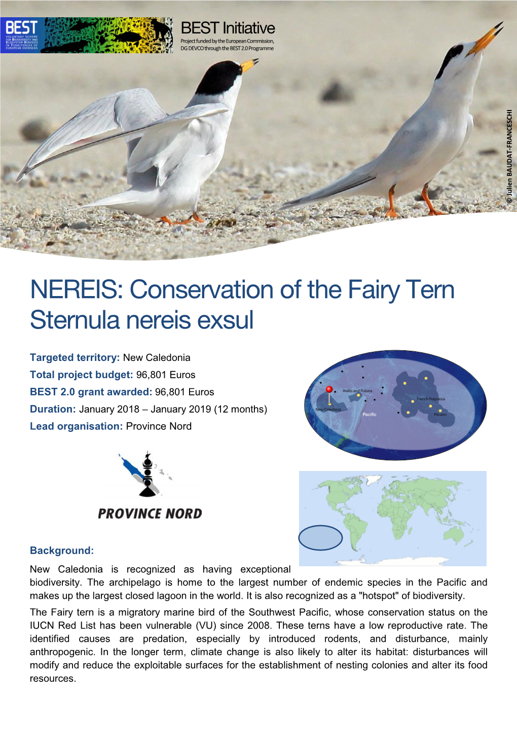Conservation of the Fairy Tern Sternula Nereis Exsul