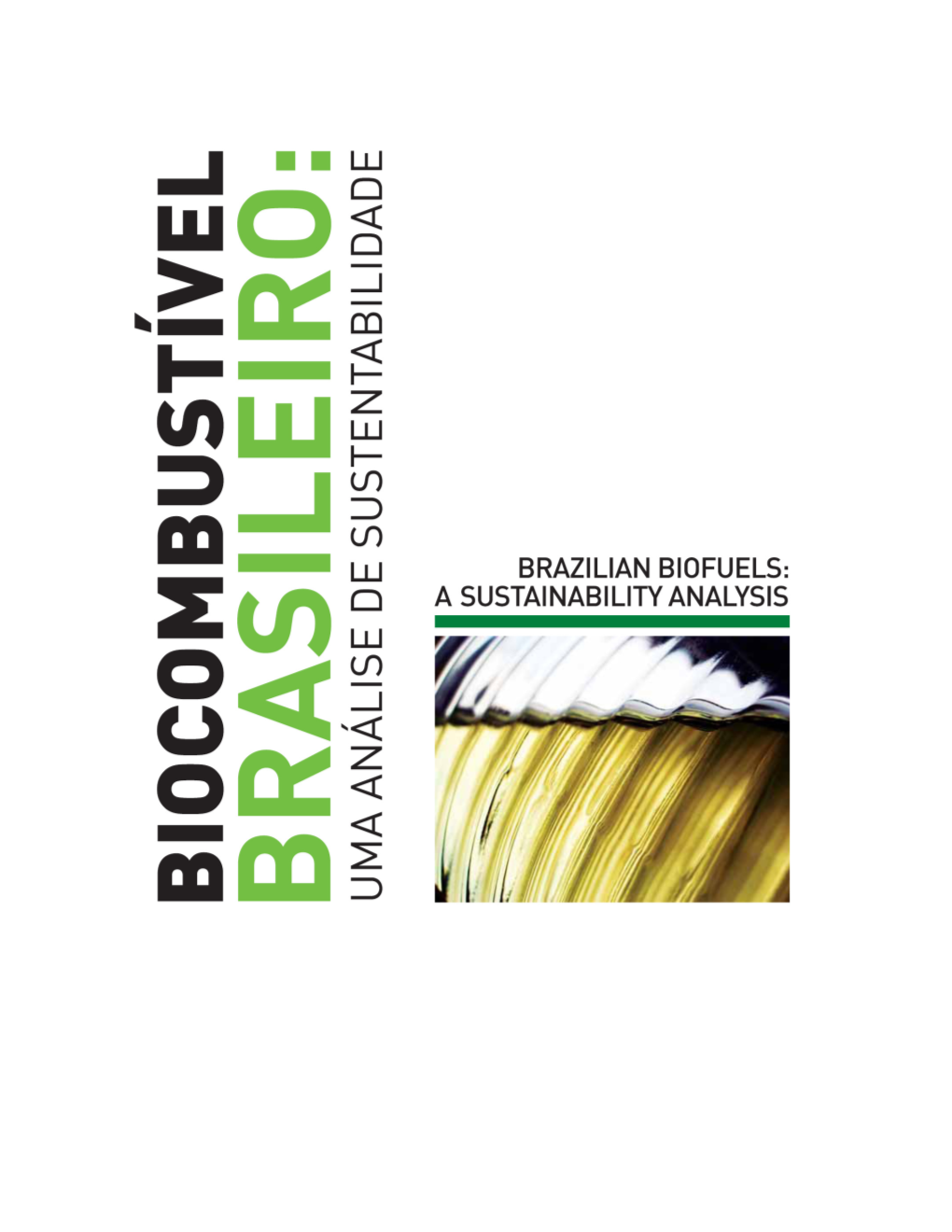 A Sustainability Analysis of the Brazilian Bio-Ethanol