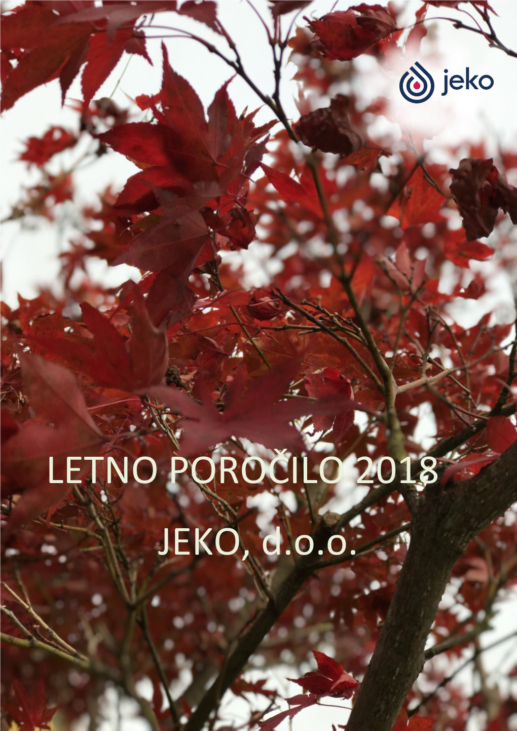 LETNO POROČILO 2018 JEKO, D.O.O