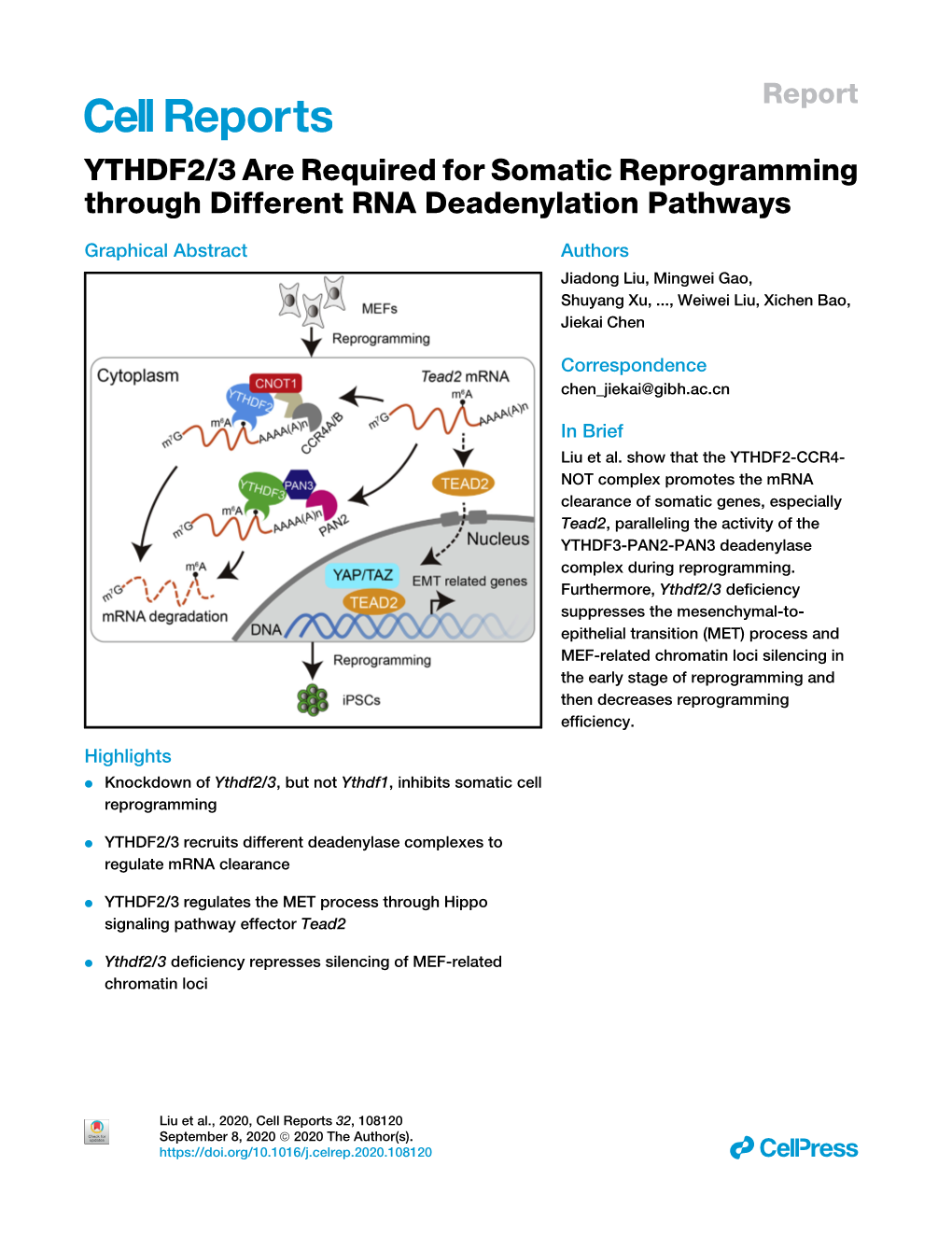 YTHDF2/3 Are Required for Somatic Reprogramming Through Different RNA Deadenylation Pathways
