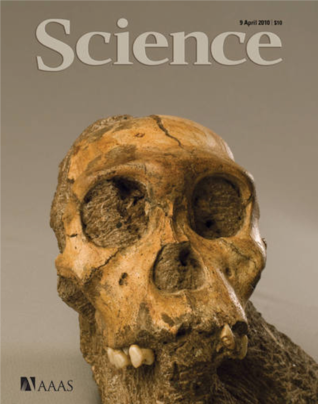 Australopithecus-Sediba-Science