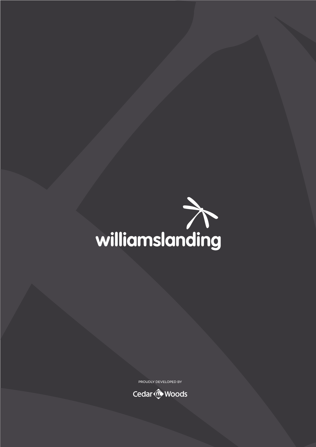 Williams Landing Project Brochure