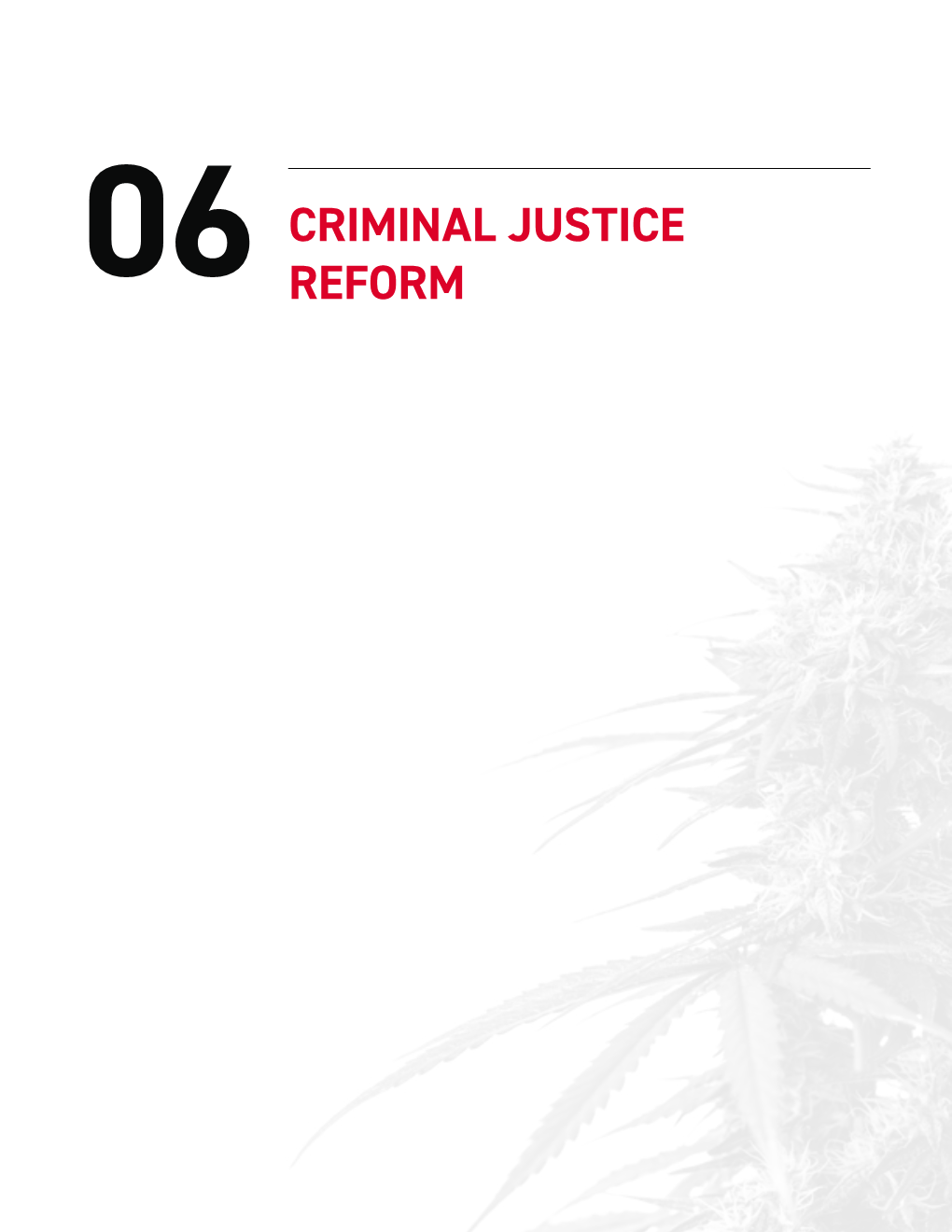 06 Criminal Justice Reform