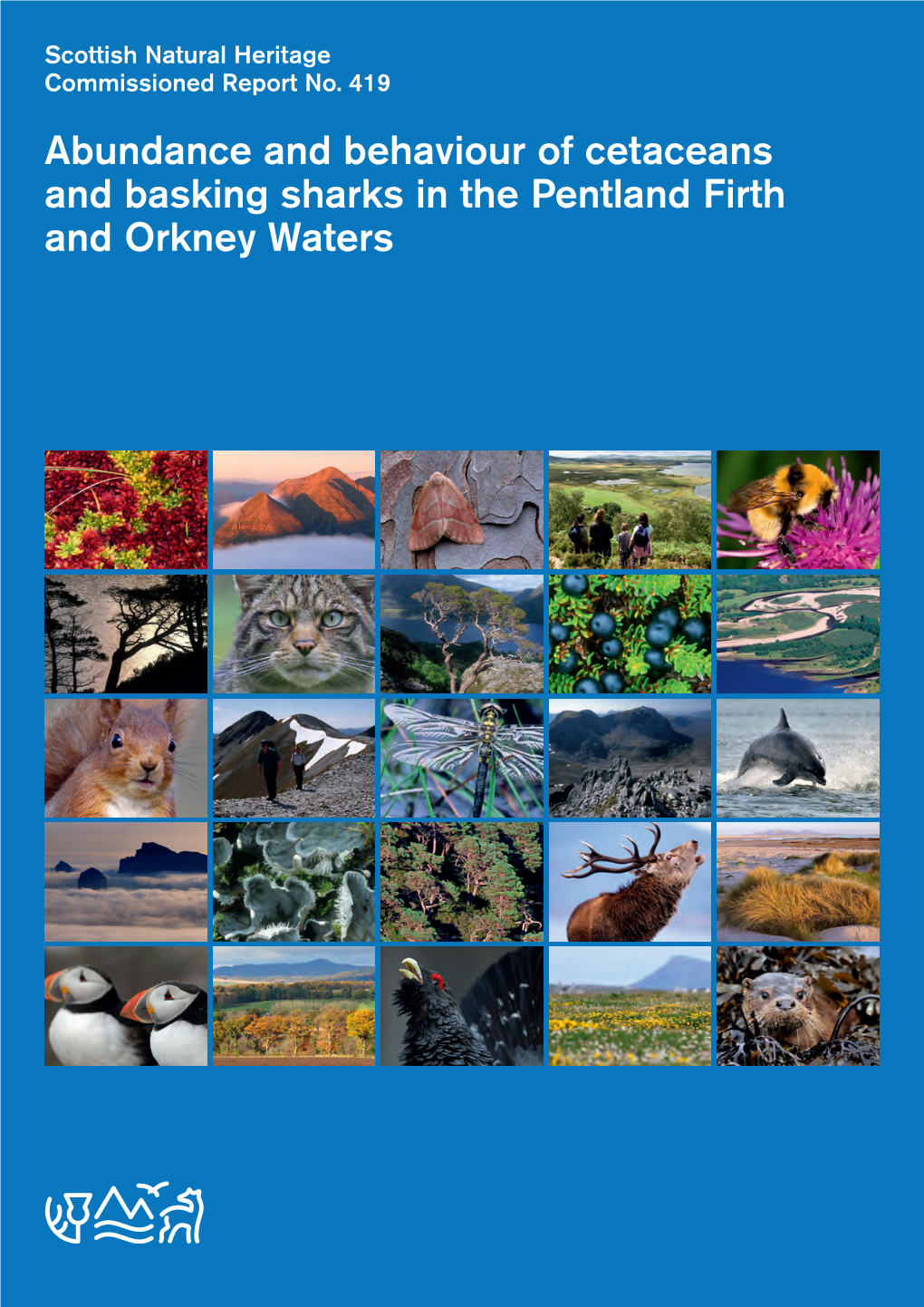 Abundance and Behaviour of Cetaceans and Basking Sharks in the Pentland Firth and Orkney Waters