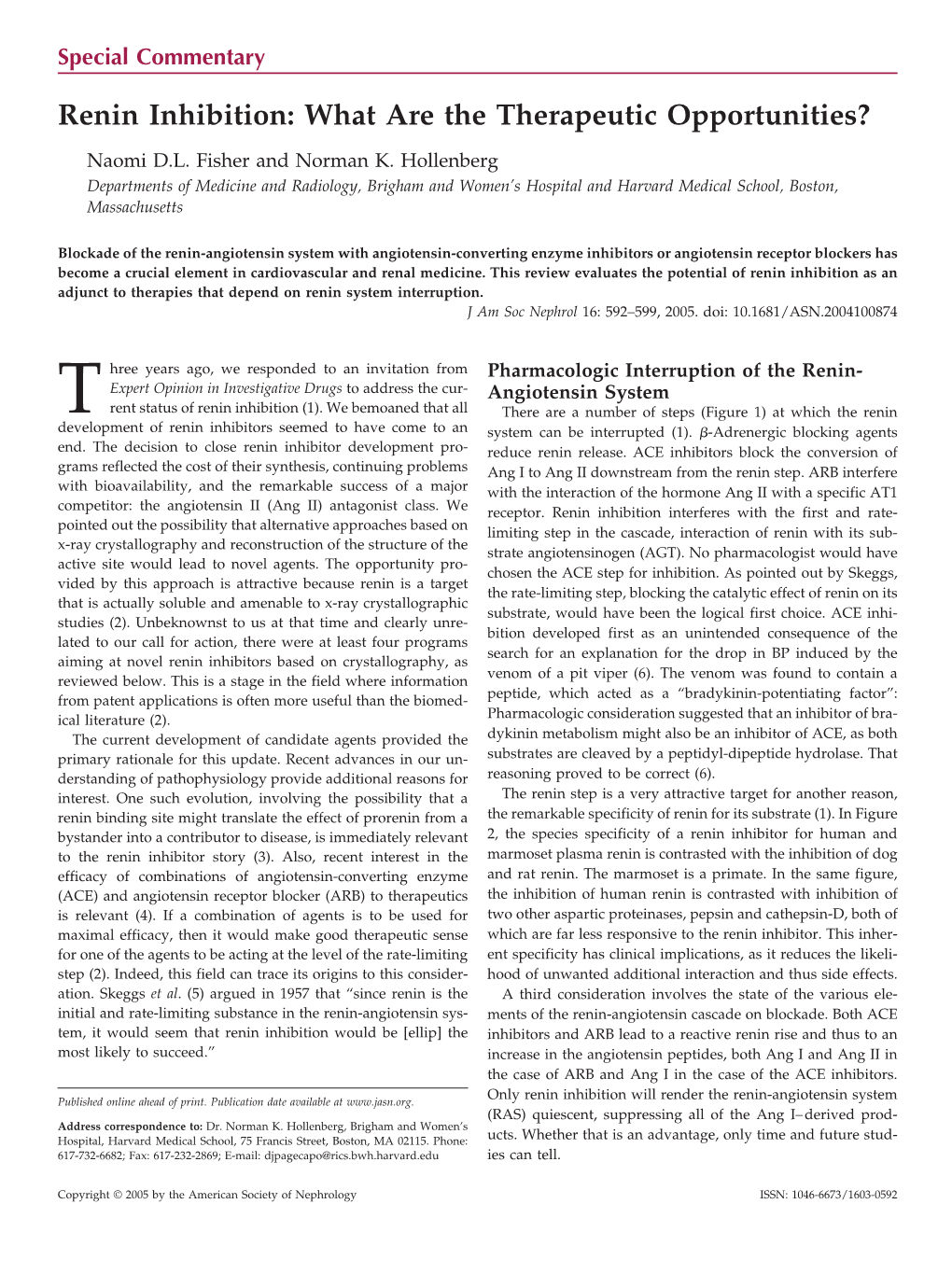 Renin Inhibition: What Are the Therapeutic Opportunities?