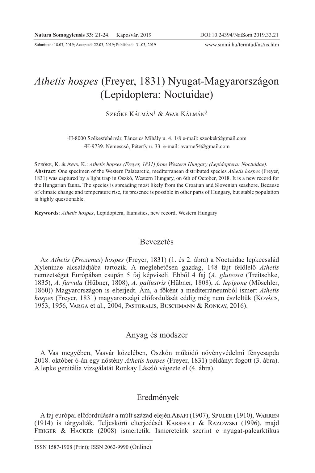 Athetis Hospes (Freyer, 1831) Nyugat-Magyarországon (Lepidoptera: Noctuidae)