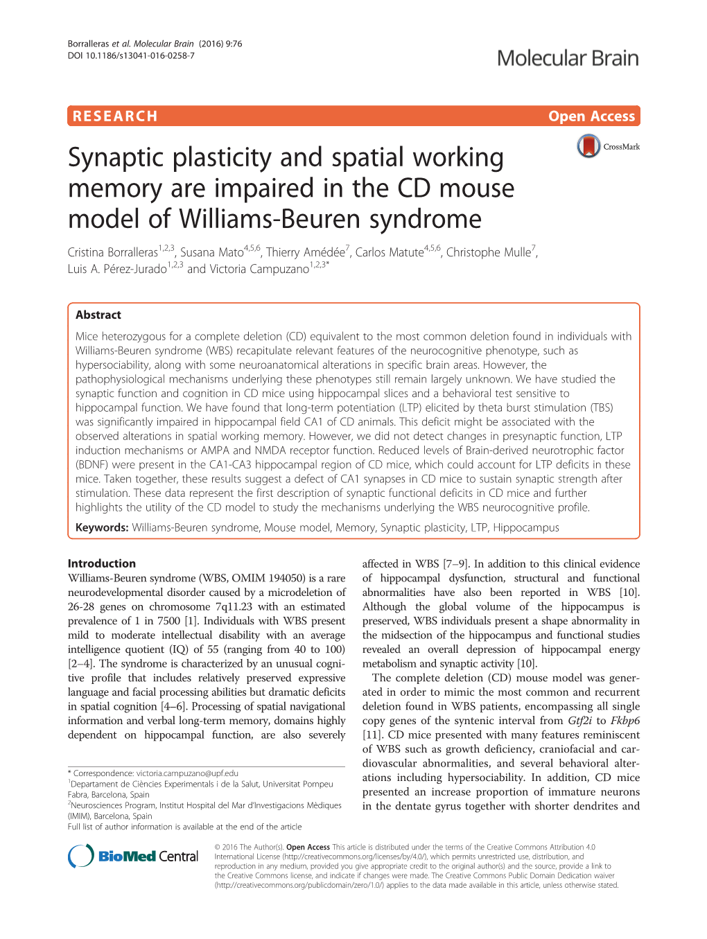 Synaptic Plasticity and Spatial Working Memory Are Impaired in the CD
