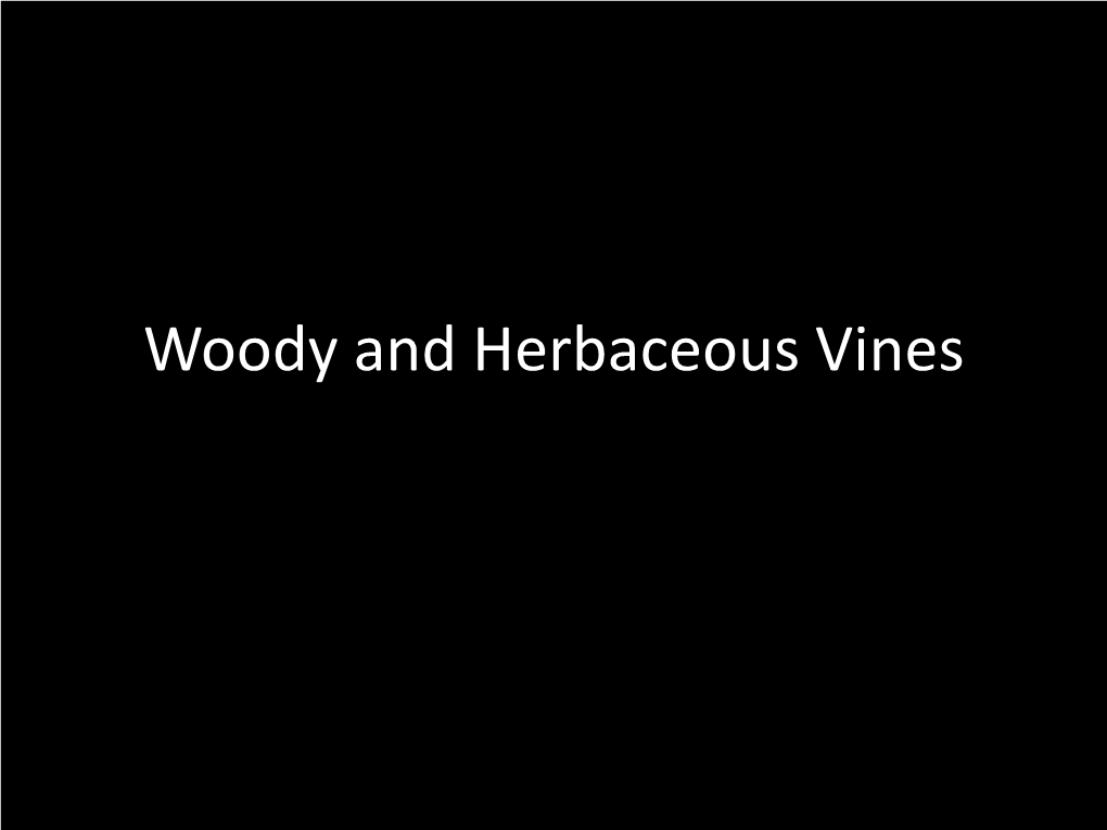 Woody and Herbaceous Vines the Ecological Role of Vines