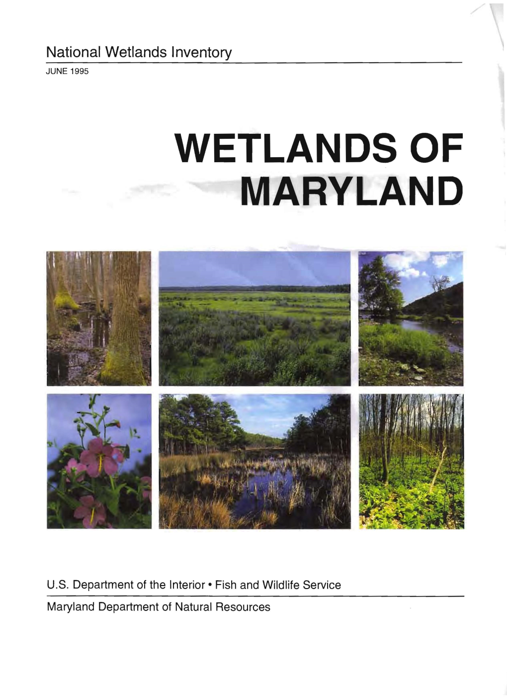 Wetlands of Maryland