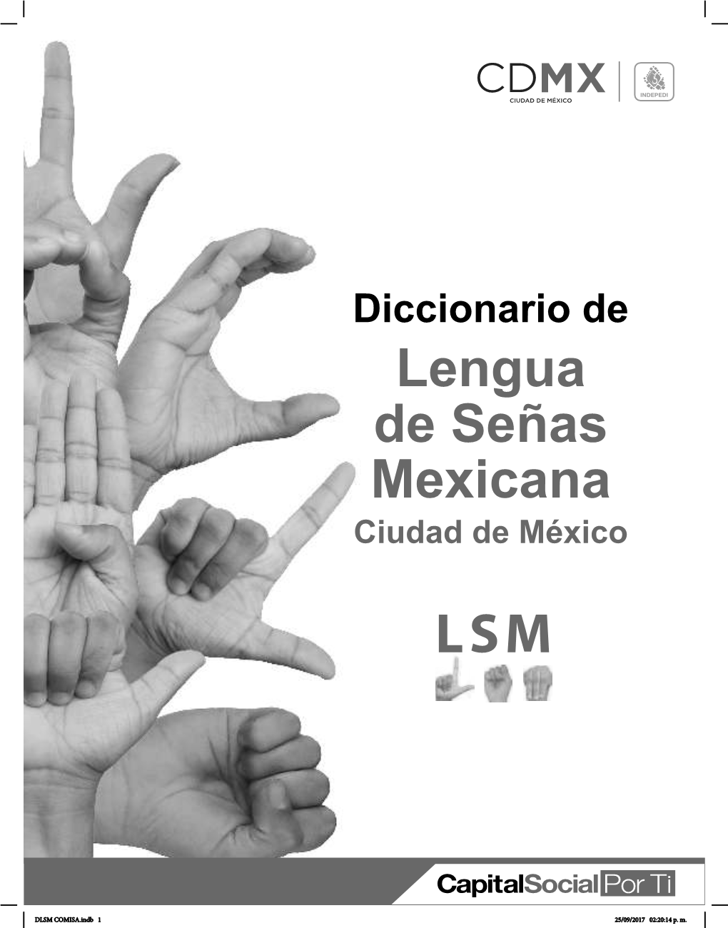 Diccionario De Lengua De Señas Mexicana Ciudad De México LSM