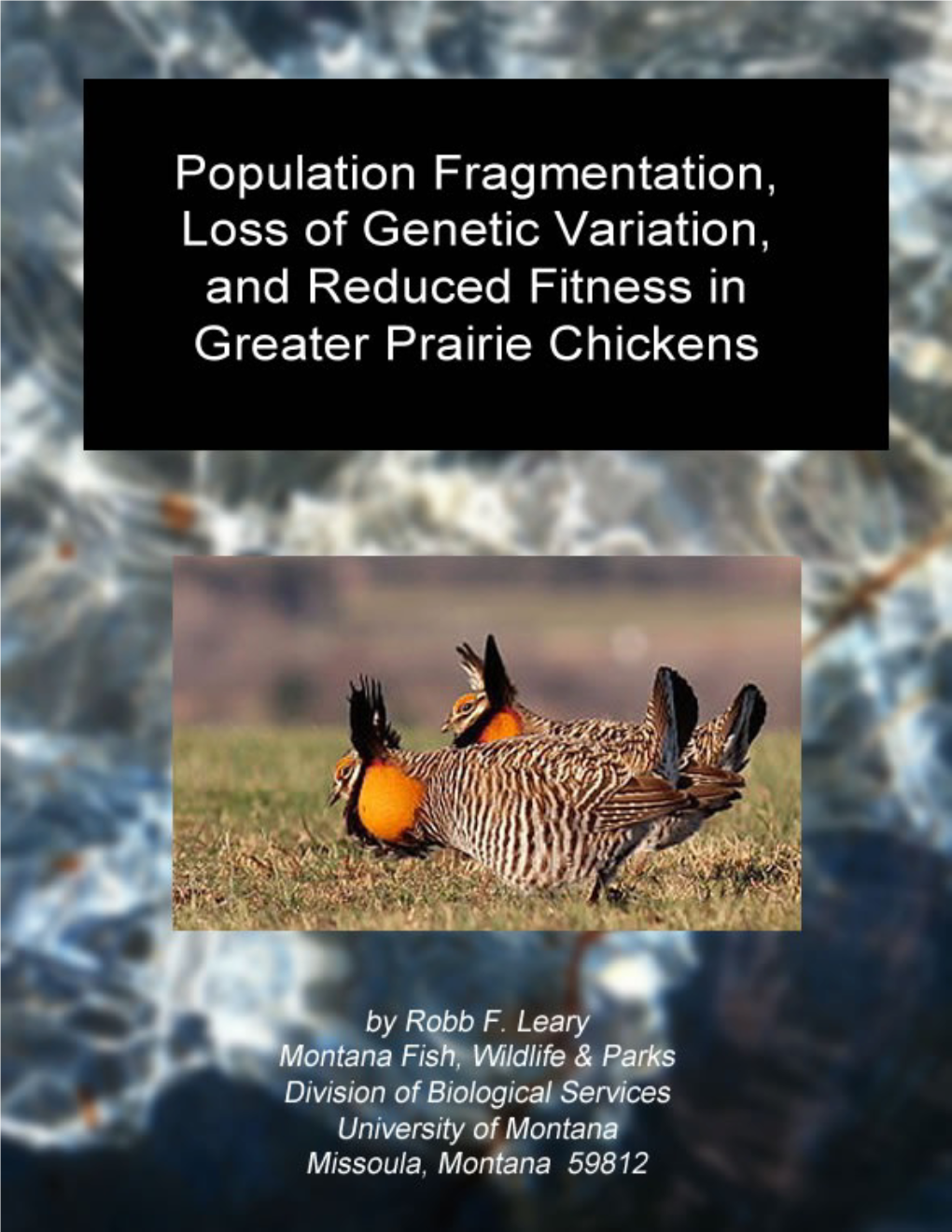 Population Fragmentation, Loss of Genetic Variation, and Reduced