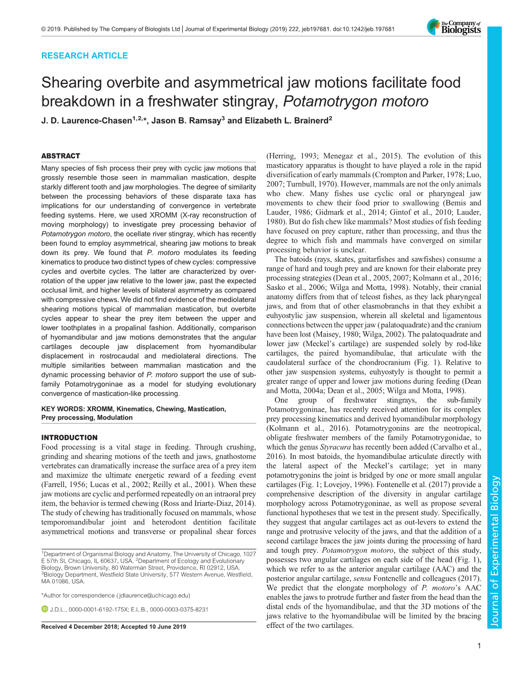Shearing Overbite and Asymmetrical Jaw Motions Facilitate Food Breakdown in a Freshwater Stingray, Potamotrygon Motoro J