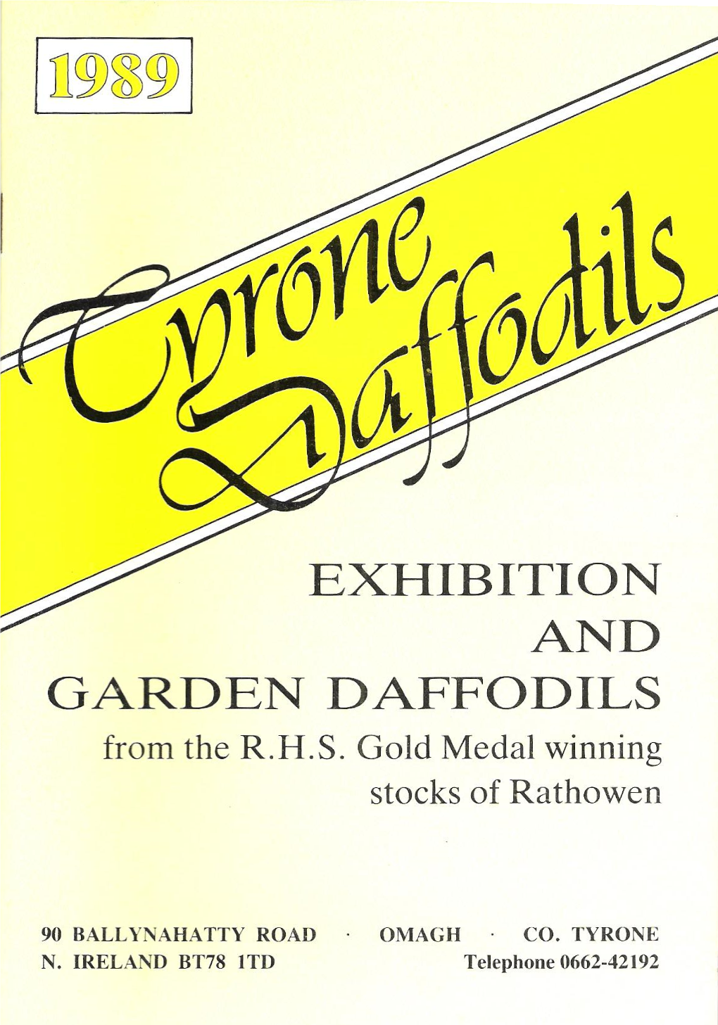 Tyrone Daffodils, 1989