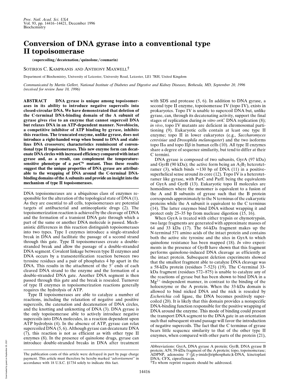 Conversion of DNA Gyrase Into a Conventional Type II Topoisomerase (Supercoiling͞decatenation͞quinolone͞coumarin)