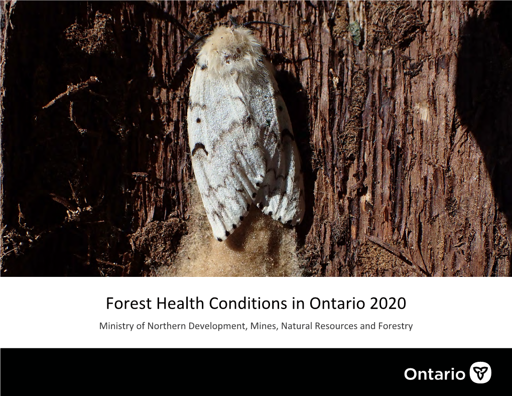 Forest Health Conditions in Ontario 2020 Ministry of Northern Development, Mines, Natural Resources and Forestry Forest Health Conditions in Ontario 2020