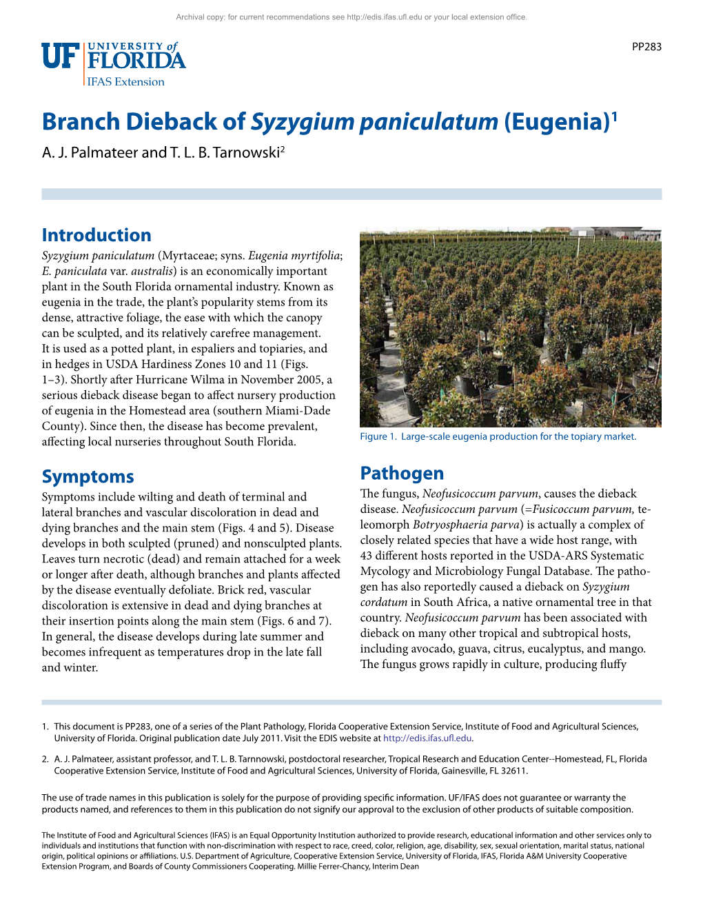 Branch Dieback of Syzygium Paniculatum (Eugenia)1 A