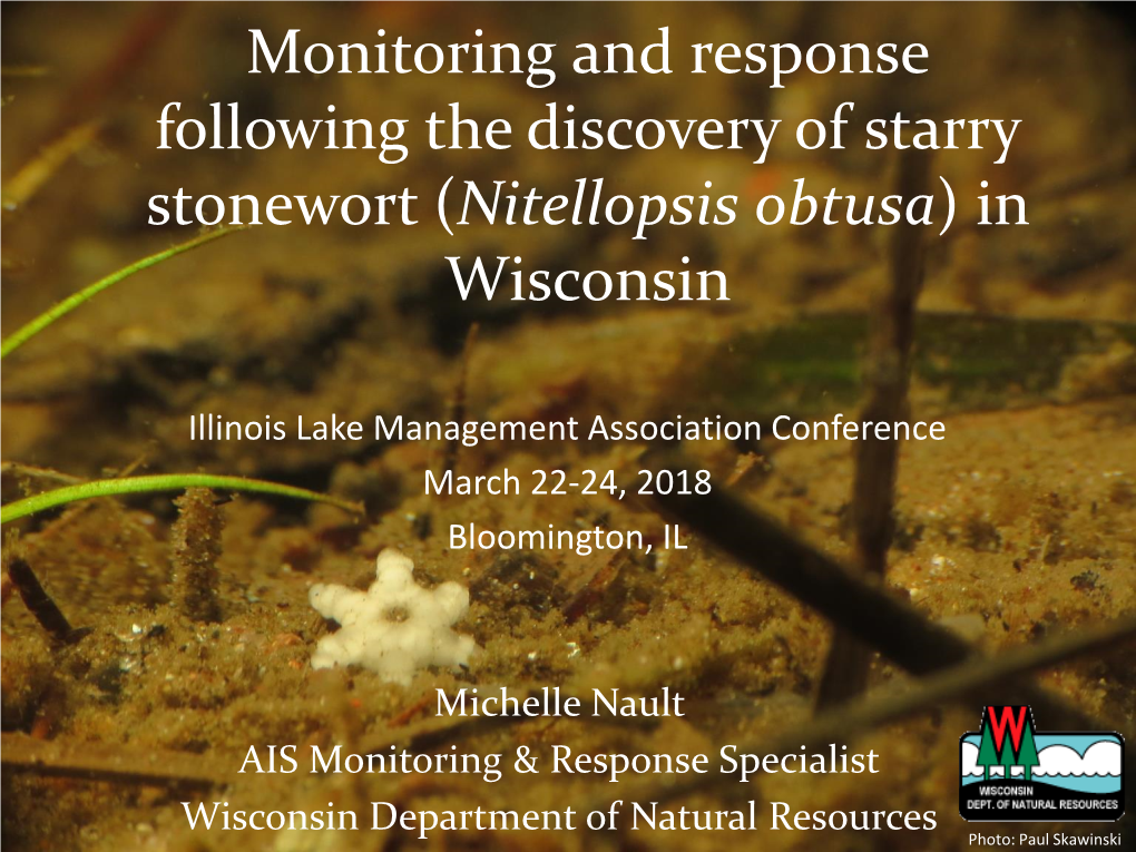 Starry Stonewort (Nitellopsis Obtusa) in Wisconsin