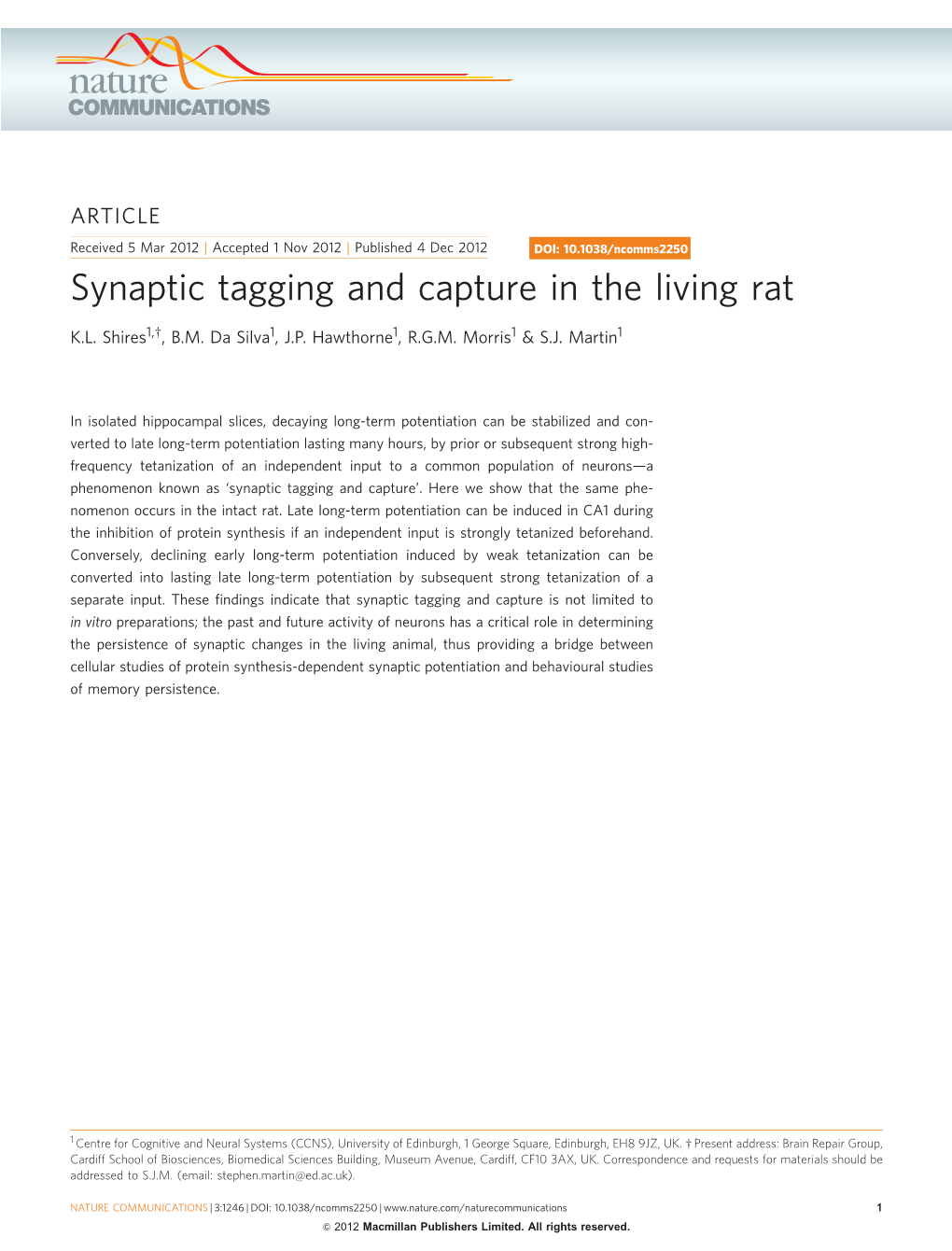 Synaptic Tagging and Capture in the Living Rat