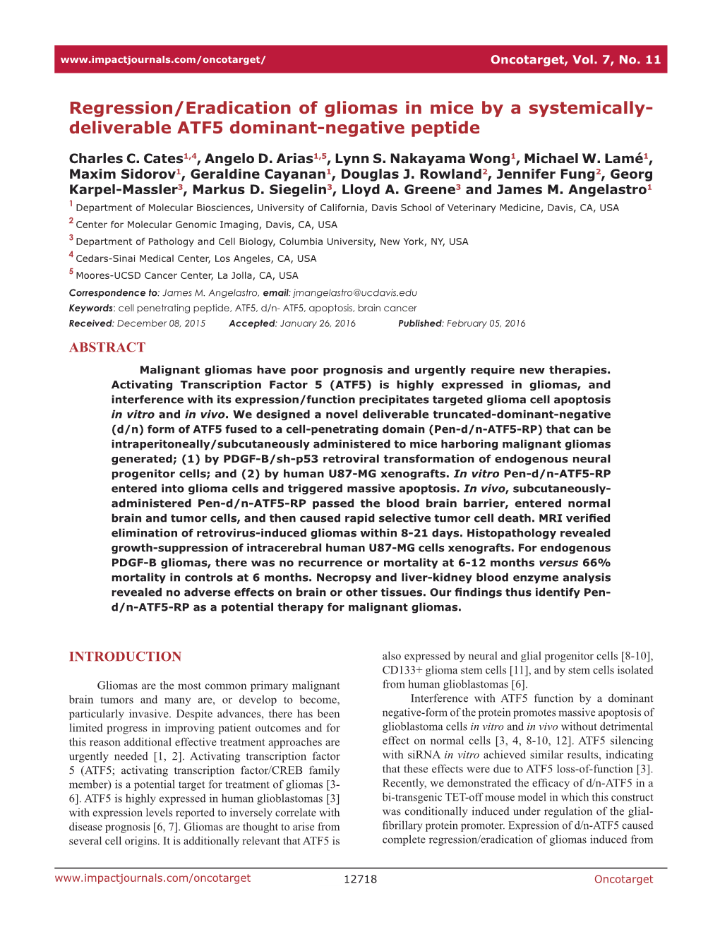 Deliverable ATF5 Dominant-Negative Peptide
