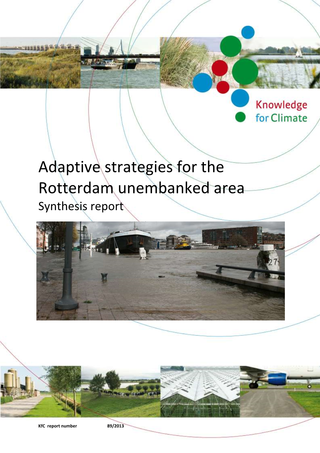 Adaptive Strategies for the Rotterdam Unembanked Area Synthesis Report