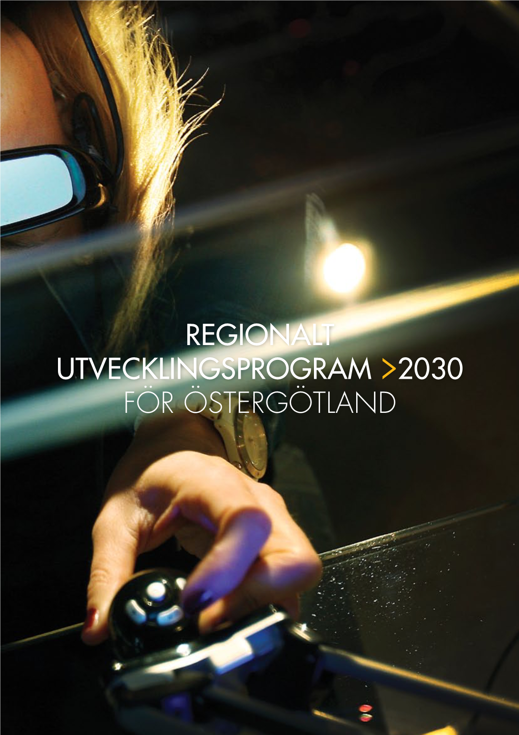 Regionalt Utvecklingsprogram 2030